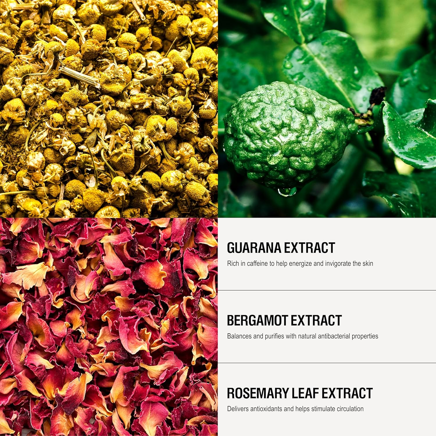 Grown Alchemist Energize Body Cleanser with Chamomile, Bergamot and Rose, Gentle Body Wash That Hydrates and Cleanses Skin (500 Ml) image number 3