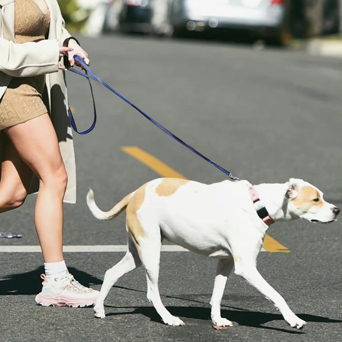 Mi Metty Dog Lead, 8 Ft Bungee Dog Lead with 2 Padded Handles, Strong Dog Lead, Dog Lead for Medium, Large Dogs (Black, 2 Pack, 8 Ft/2.5 M) image number 6