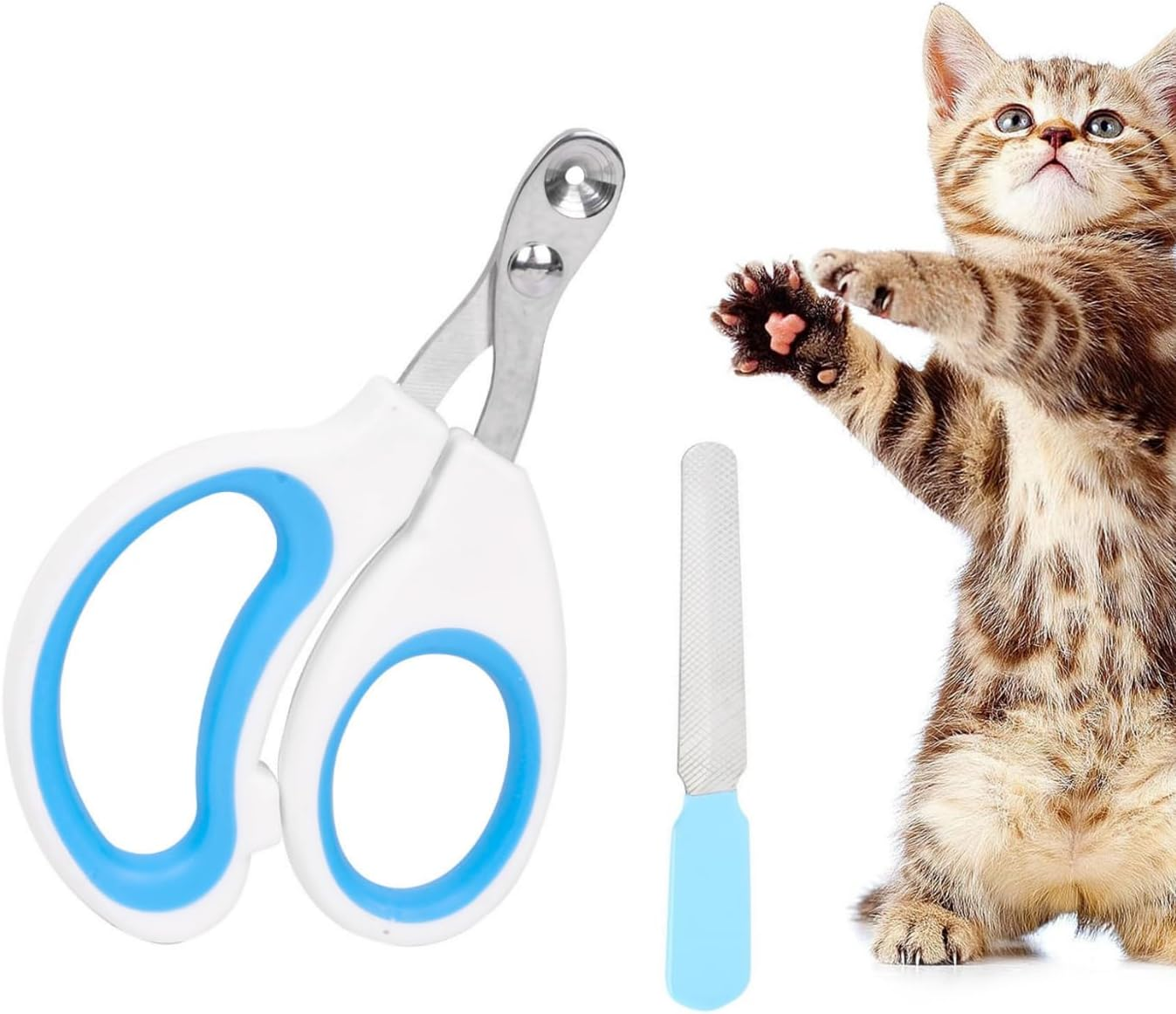 Toulifly Cat Claw Scissors, Stainless Steel Cat Nail Clippers, Nail Scissors for Kittens, Safety Double Circular Hole Pets Cat Nail Scissors, for Beginners, Blue, 2 Pieces image number 1