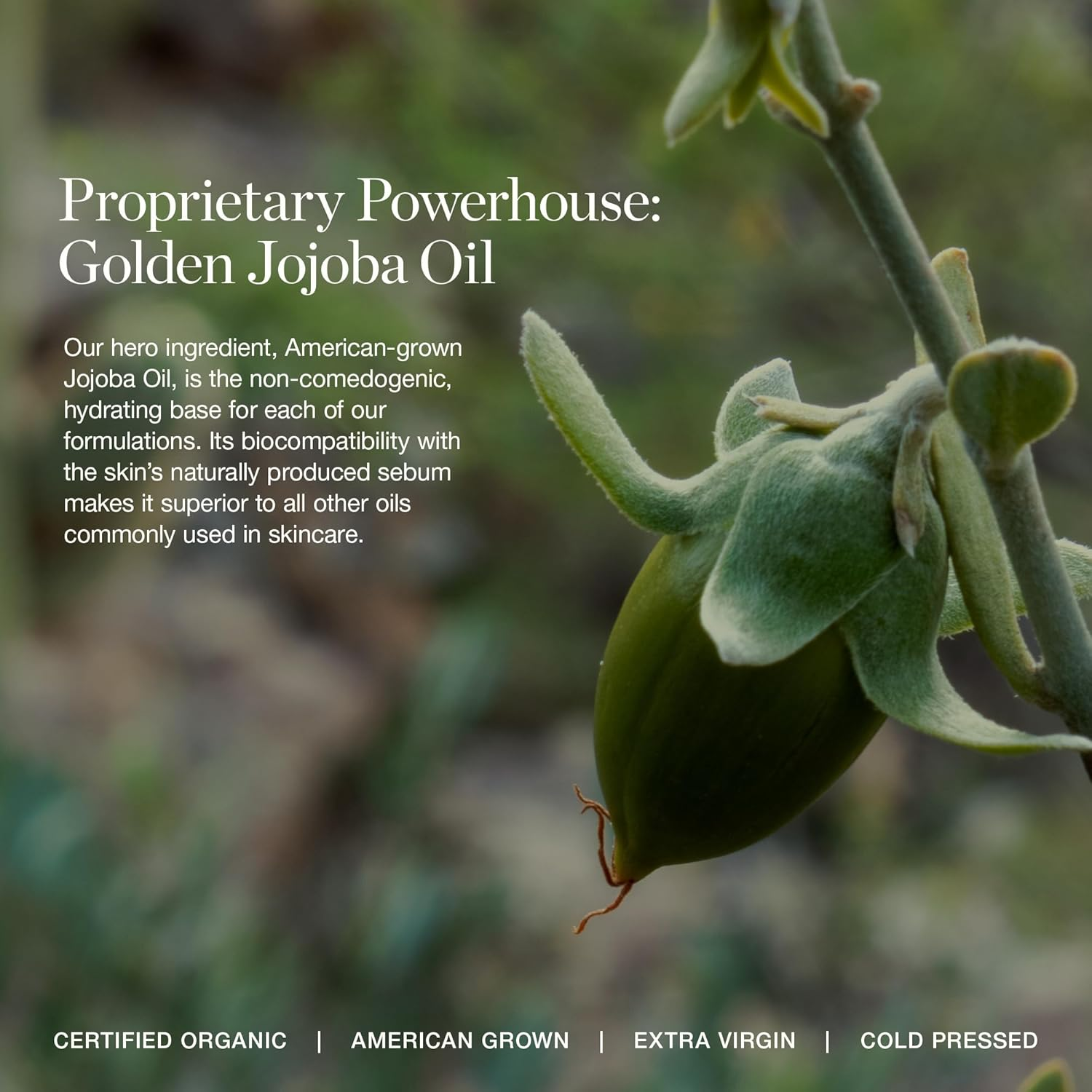 Ogee Blush & Blend Duo - Rose Quartz Blush Face Stick & the Blender Brush