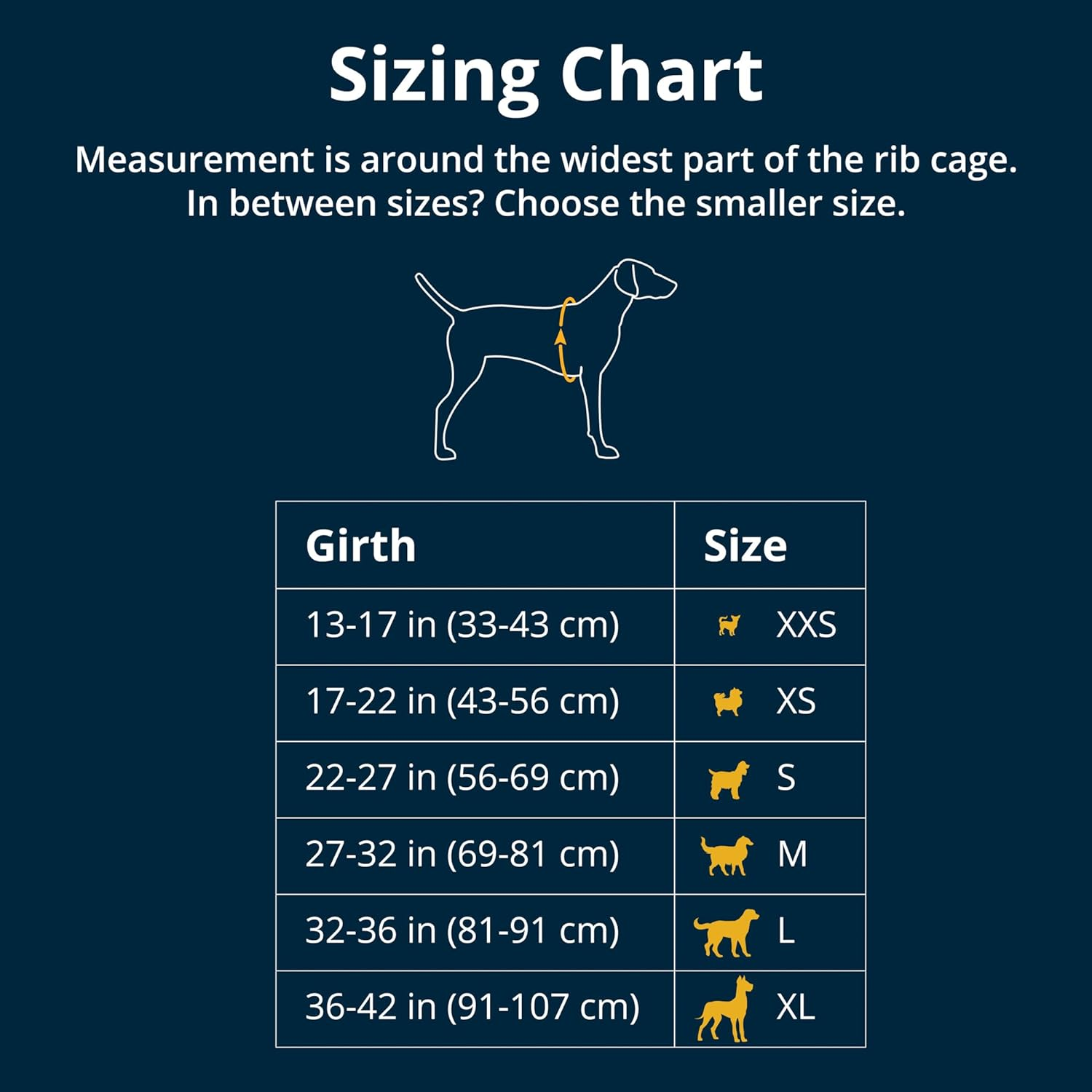 Ruffwear Float Coat Dog Jacket, Buoyancy and Buoyancy, Dog Vest for Safe Swimming, Boating, Water Sports, Wave Orange, X-Small image number 5