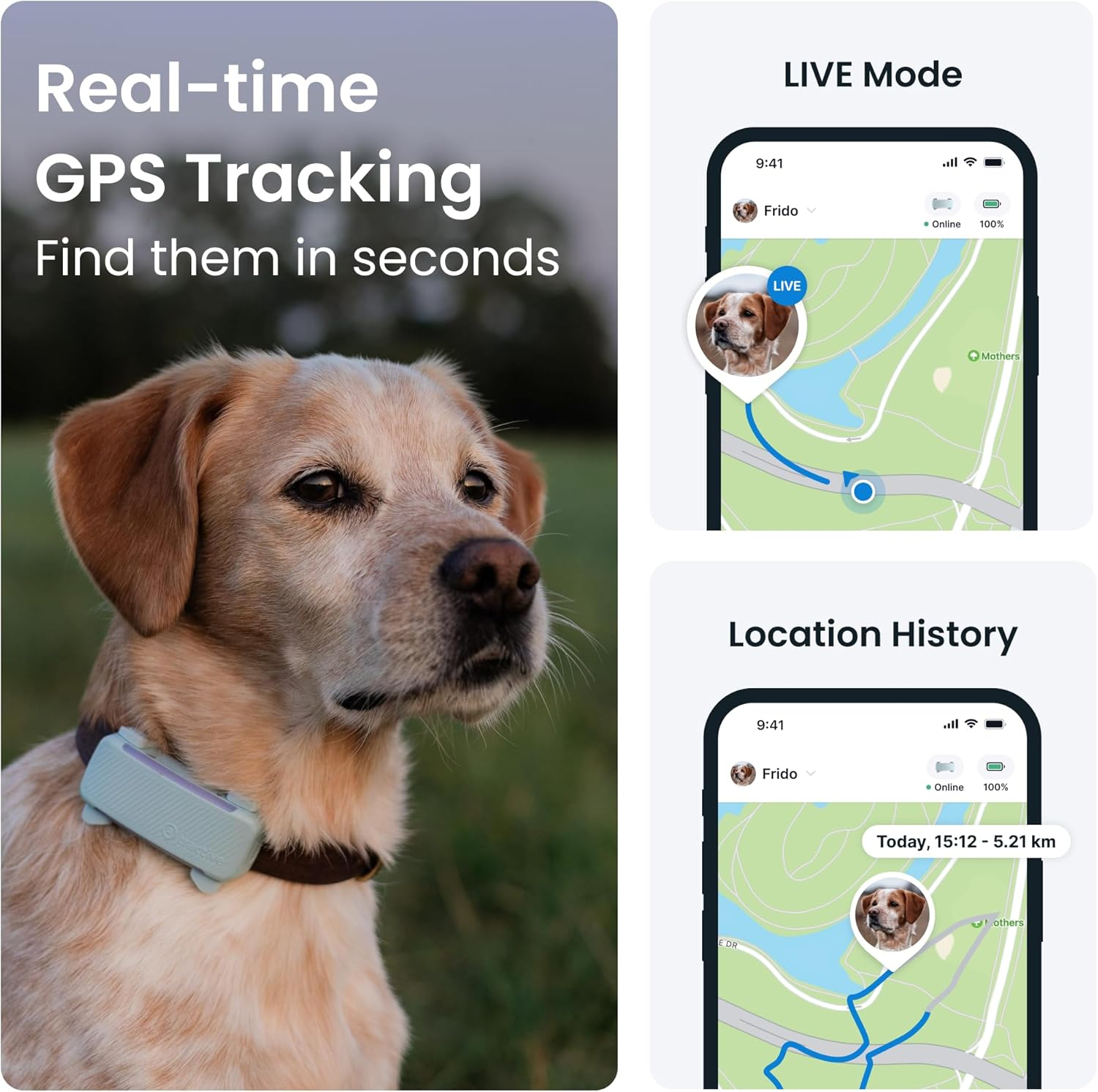 Tractive GPS Dog Tracker | Market Leader | Real-Time Location Tracking | Escape Alerts | Activity Monitoring | Health Alerts | Bark Monitoring (Mint) image number 3