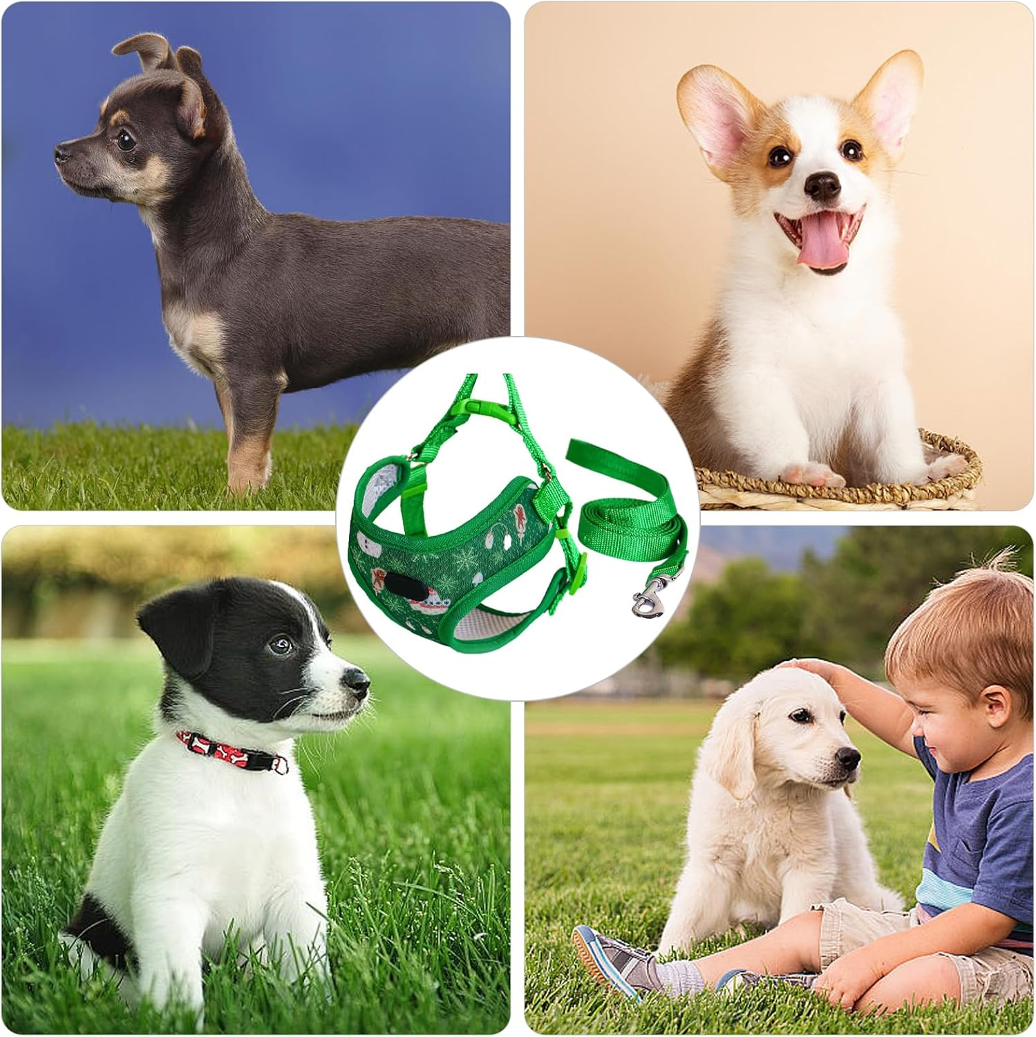 Christmas Pet Harness and Leash Set, Soft Breathable Mesh Puppy Harness with Leash for Walking, Training, Cute Reflective Step in Dog Harness for Small Medium Dogs Cats, Not Easy to Break Free (Green)