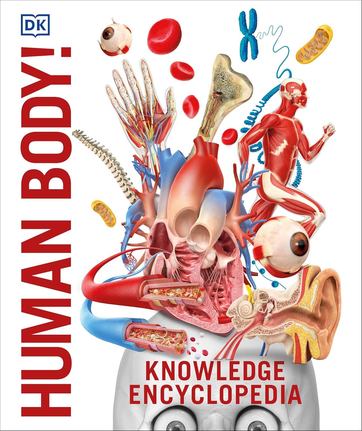 Knowledge Encyclopedia Human Body!: Your Amazing Body as You'Ve Never Seen It Before