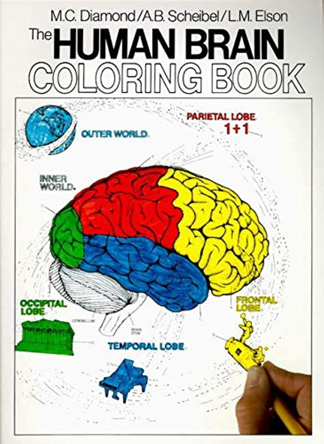 Human Brain Coloring Book image number 6