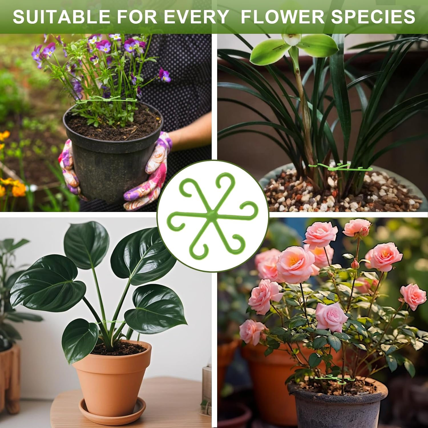 16 Pcs Plant Stem Support, Climbing Houseplant Stem Supports, Plants Holder Hook for Indoor Home Garden (Green) image number 2