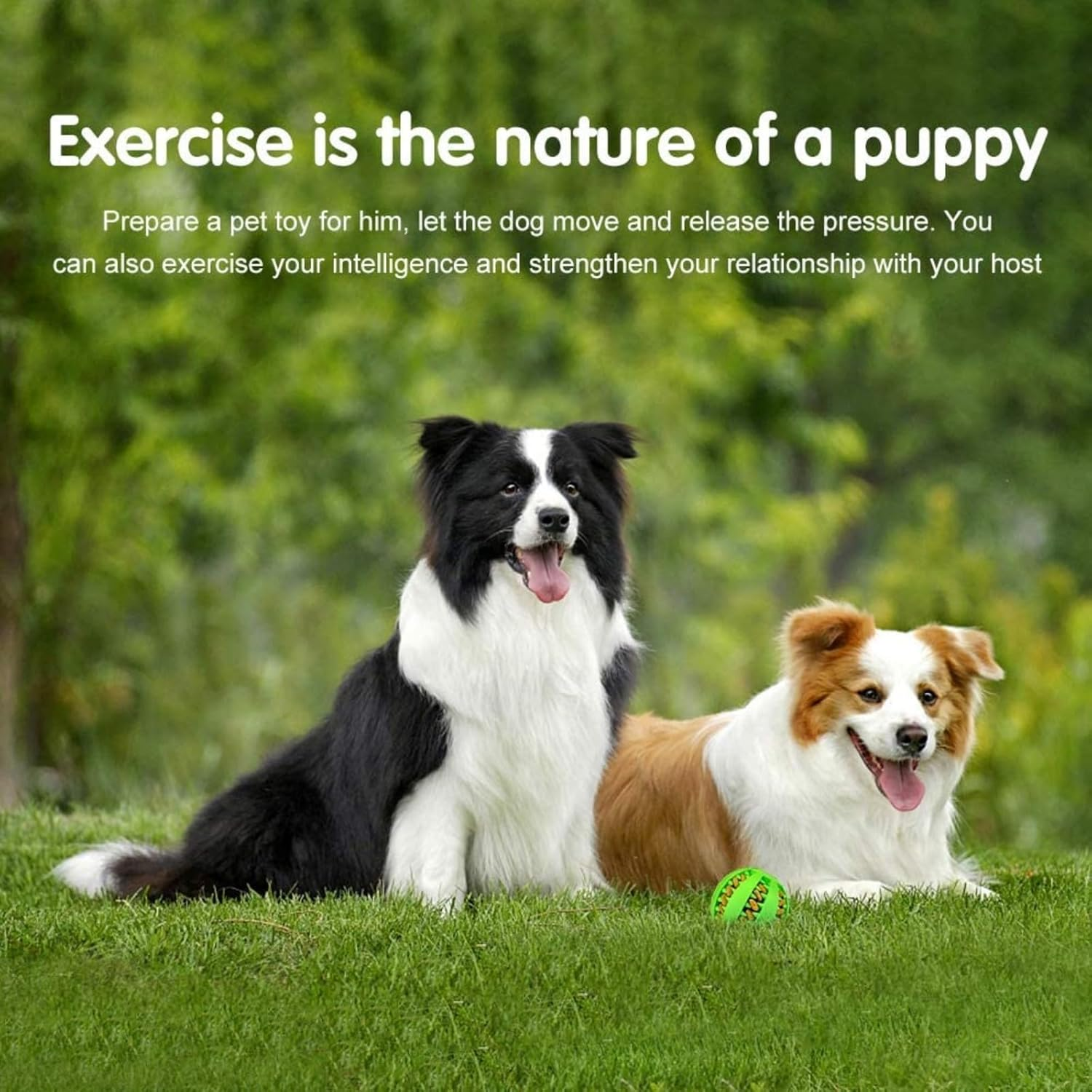 CHUANGOU Pack of 2 Dog Toy Ball, Chew Toys Made of Natural Rubber, Dog Ball with Dental Care Function, Natural Rubber Dog Feeder Ball, Bite Resistant Dog Toy image number 5