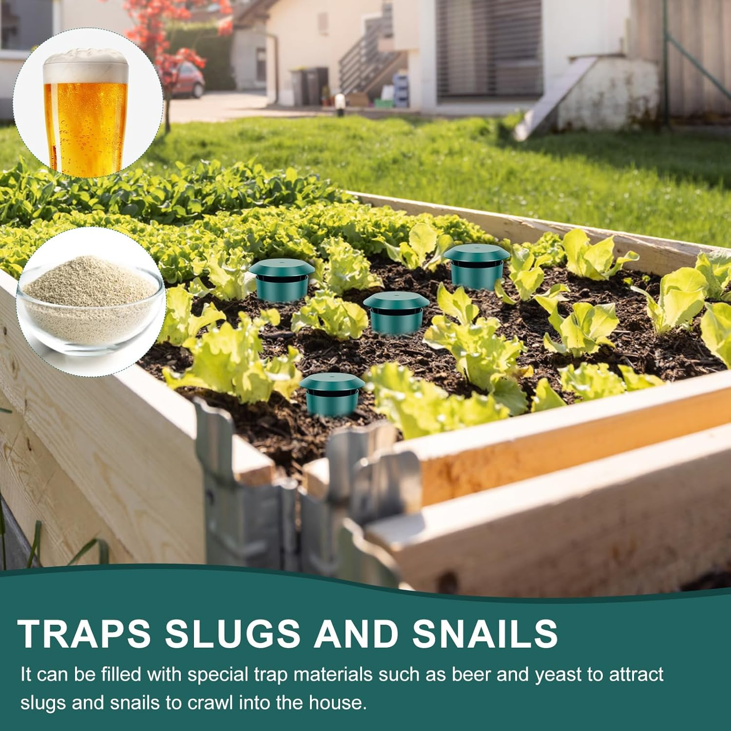 Beer Slug Snail Traps Kit, Portable Easy to Use Catching Slug House, Versatile Safe Plastic Snail Trapper, Growing Protection, for Snails and Slugs Snails Catcher image number 2
