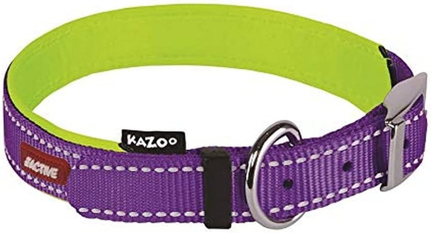 Kazoo Active Nylon Collar, Medium image number 1