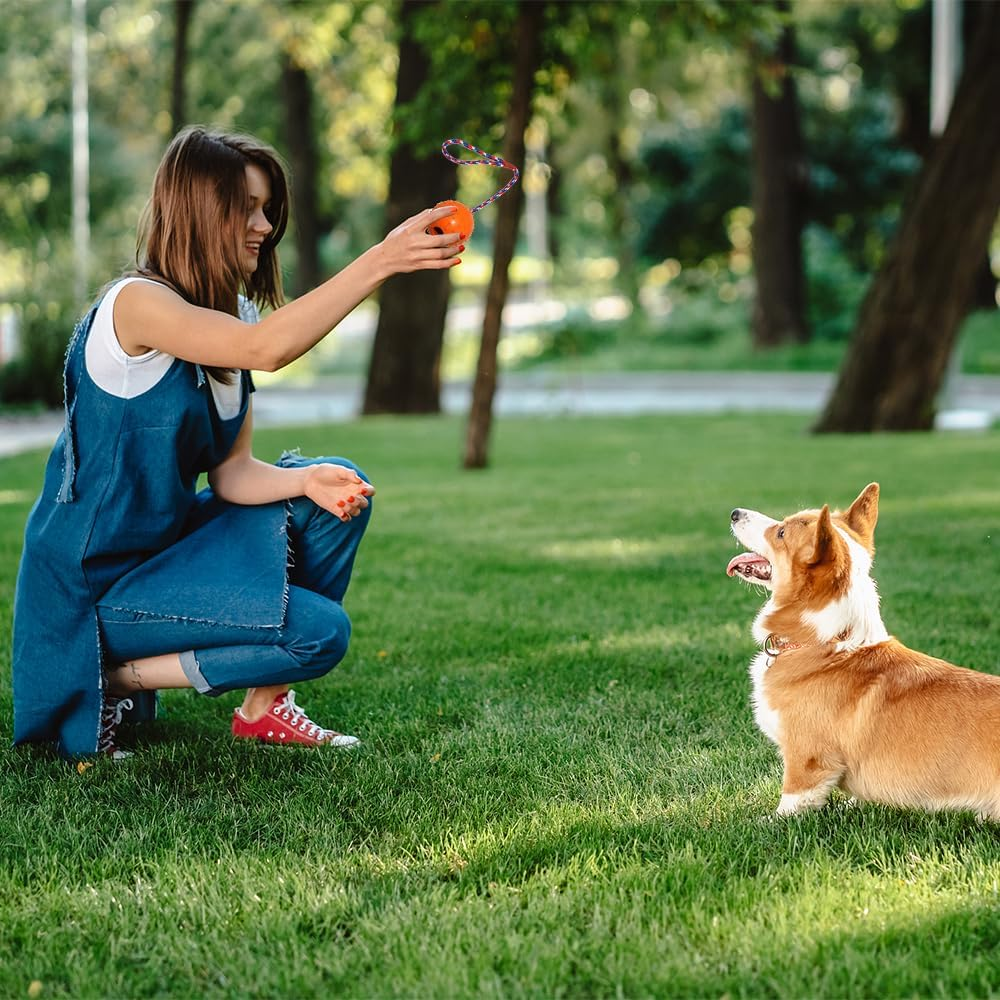 4 Balls with Cord Dog, Diameter 5/30 Cm, Dog Ball with Cord, Dog Toy Ball with Rope, Throwing Ball Dog, Soft and Elastic Solid Rubber Ball for Large and Small Dogs, Throwing, Catching (Red, Yellow, image number 6