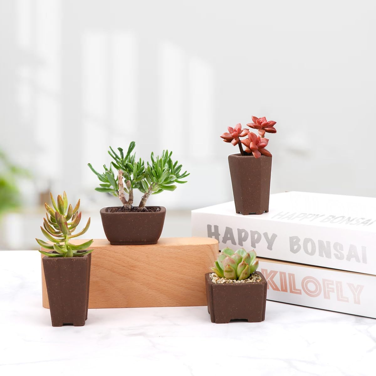 Happy Bonsai 4 Pc Zisha Mini Bonsai Pots 2" Width image number 5