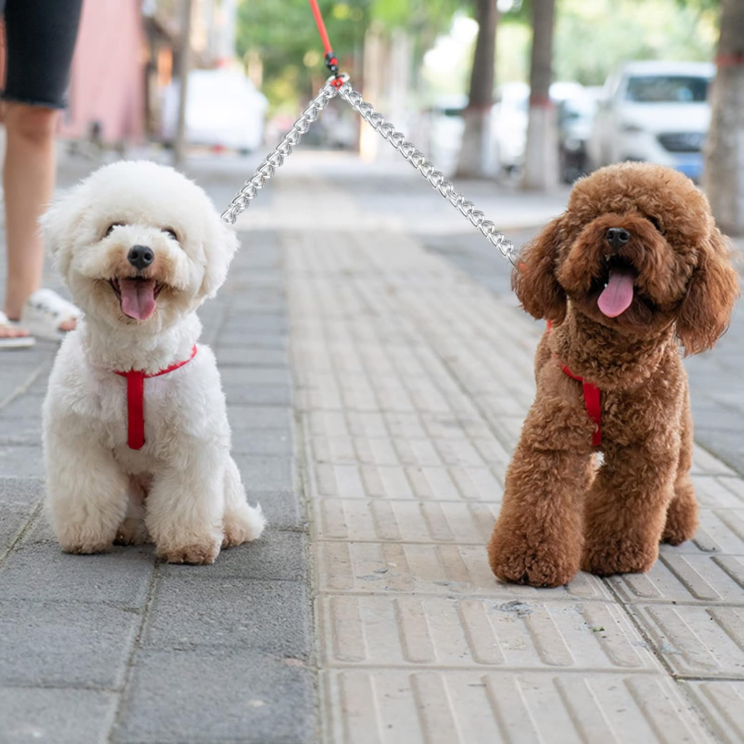 Metal Double Dog Leash 2 Way No Tangle Coupler Double Pet Dog Lead Leashes Twin Large Medium Small Dogs (L-4.0Mm*70Cm) image number 2