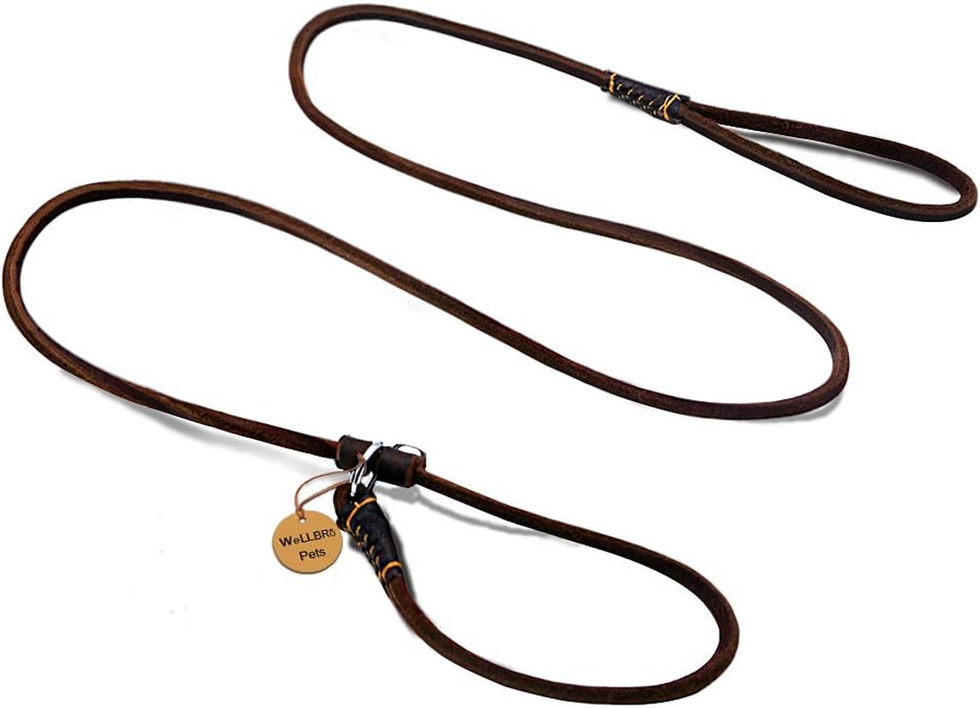 Wellbro Luxury Genuine Leather Slip Dog Leash Deluxe Slip Lead with Adjustable Collar Soft Touch and Exquisite Suit for Small Medium Puppies 160Cm Length by 0.6Cm Wide Brown