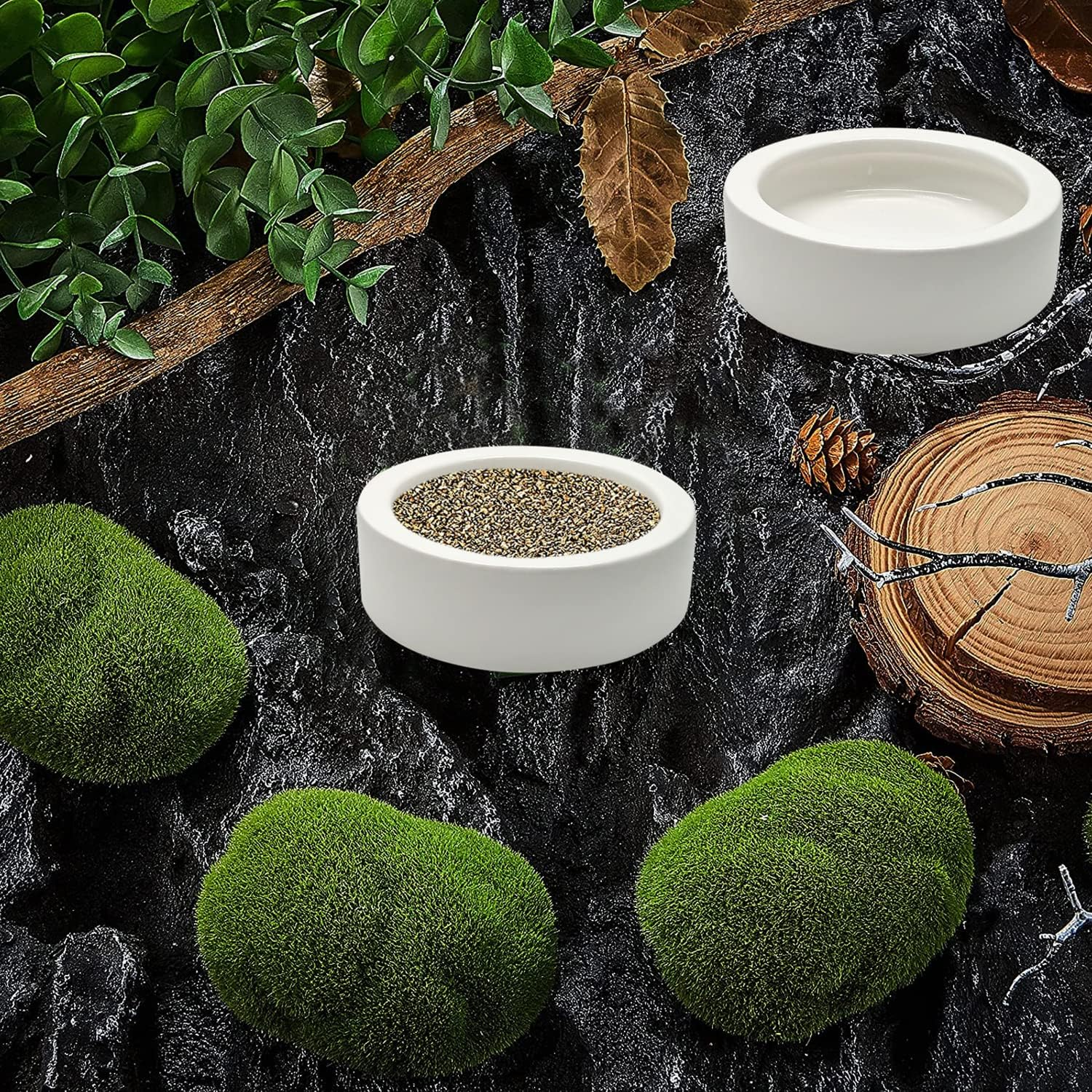 Ihomeset 3 Pcs Reptile Food Bowl with Feeding Tongs, Ceramic Water Feeder Bowl for Lizard Anoles Bearded Dragons Crested Gecko Hermit Crabs Triangular, White, 2.7 Inch image number 5