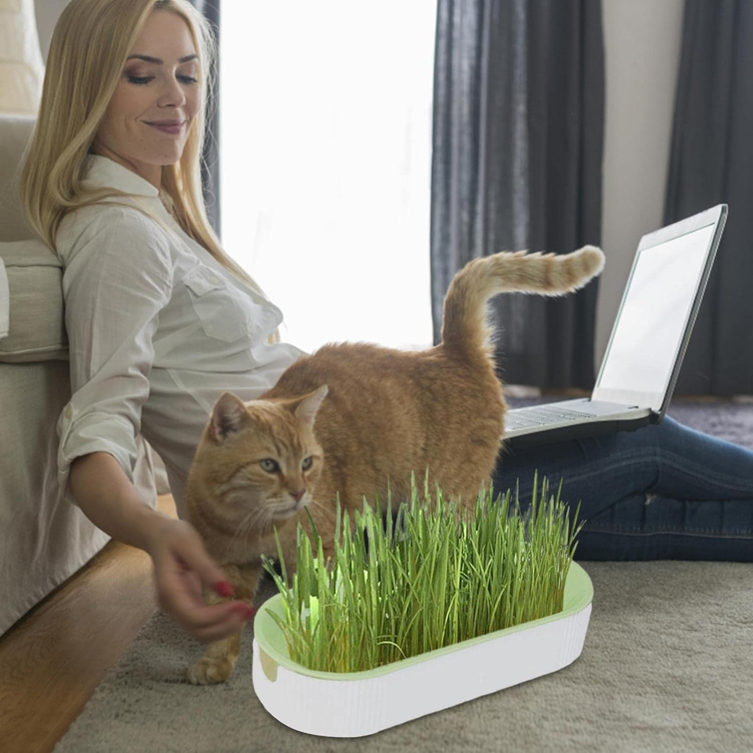 Cat Grass Growing Kit, Pet Grass Growing Kit, Indoor Cat Grass, Cat Grass Planting Box with Seeds, Soil- Cat Snacks Hairball Removal Pet Food for Nursery, Garden and Indoor Balcony