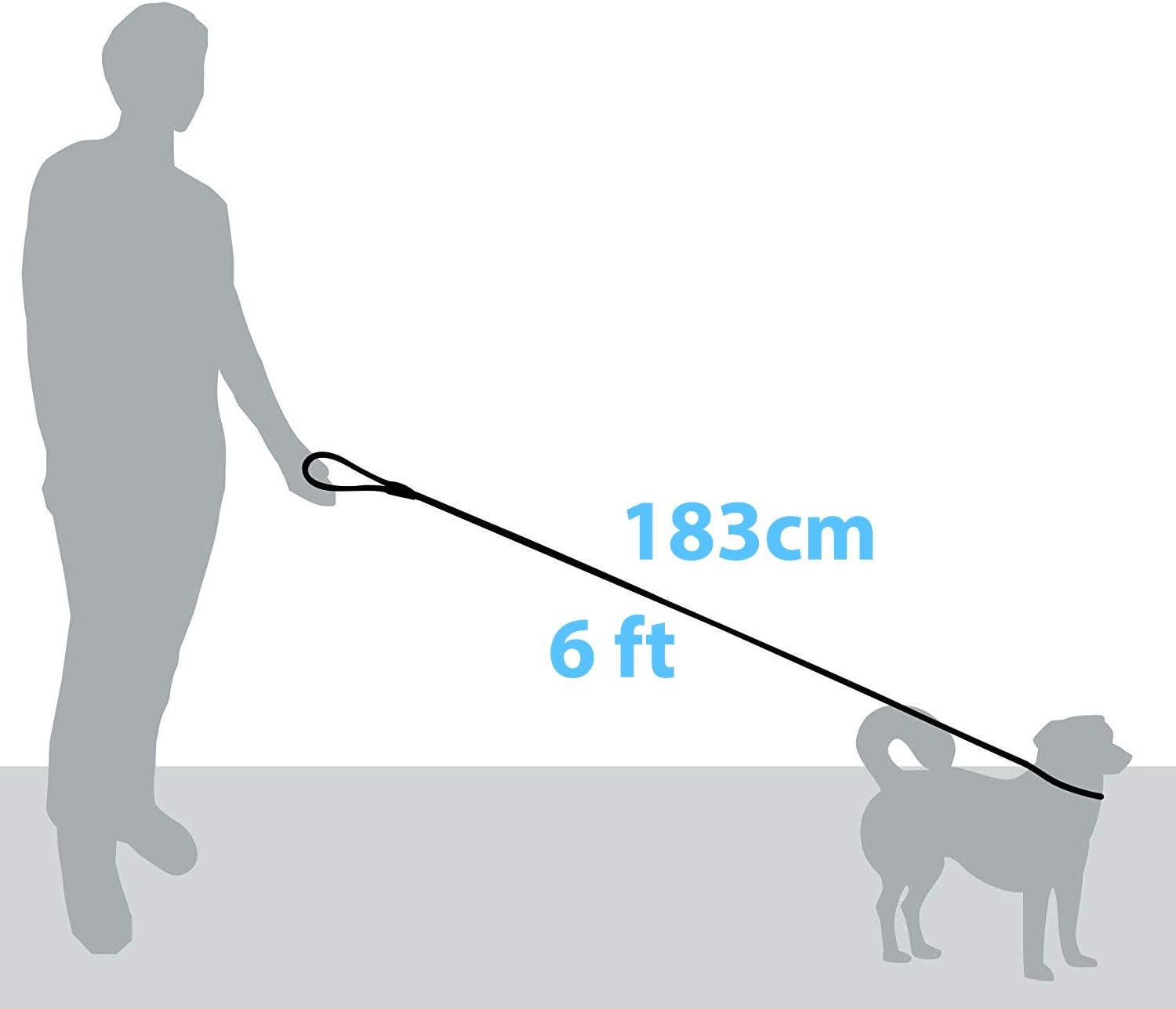 Zenify Pets Dog Lead - Durable Strong Chew Resistant Slip Lead Nylon Rope Padded Handle Mountain Climbing Harness Pet Puppy Training Slipknot Leash for Walking [1.2Cm Thick 183Cm Long] (Blue 6Ft)&hellip;