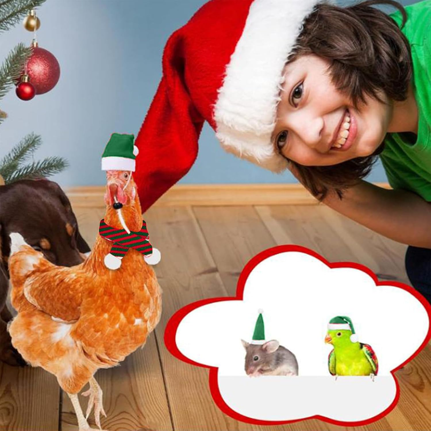 Chicken Clothes - Santa Cosplay Dress up | Small Animal Tiny Santa Hat with Adjustable Chin Strap - for Duck Hamster Rabbit Kitty Parrot Puppy Lizard Farm Decor image number 5