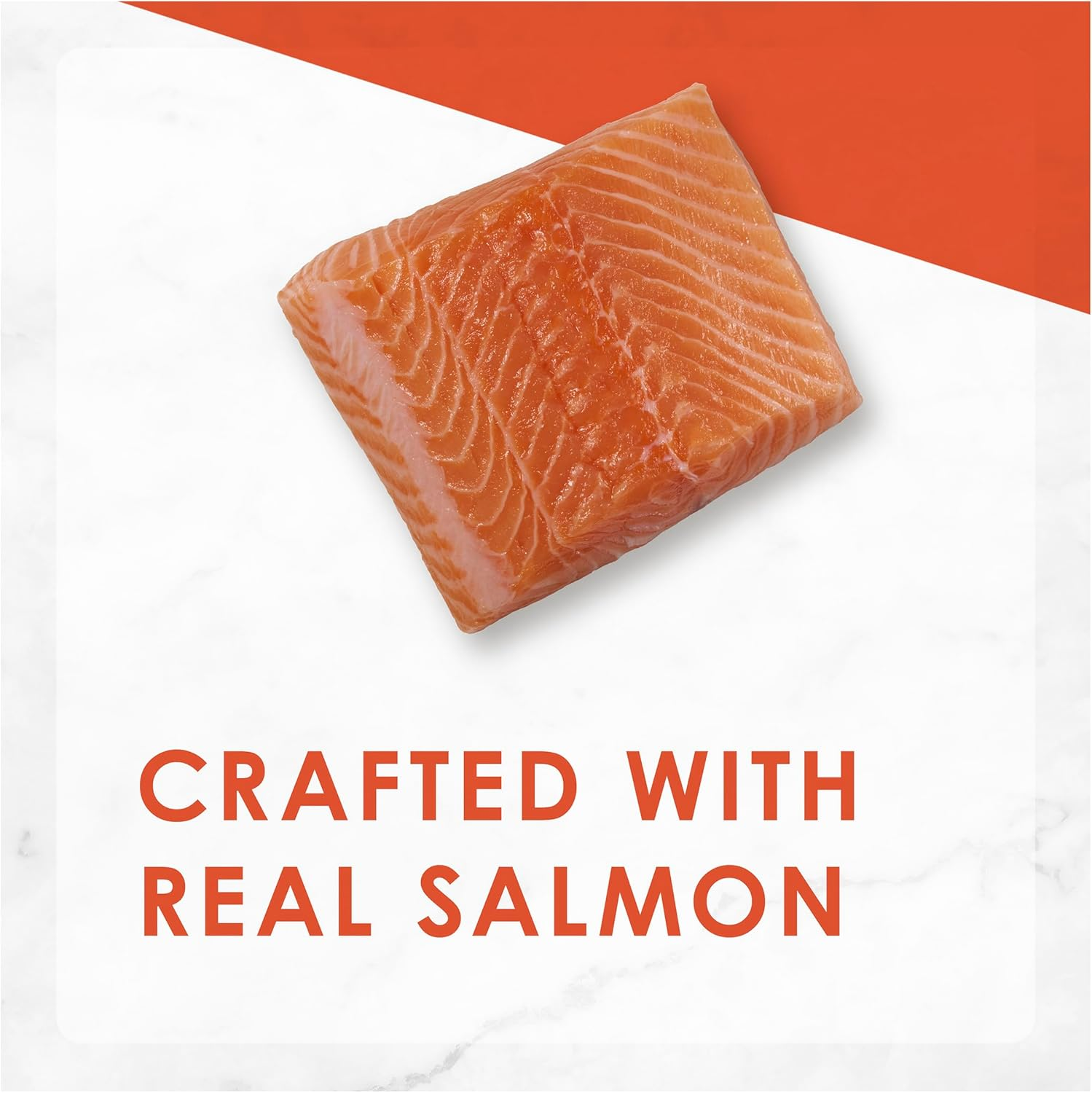 FANCY FEAST Adult Savoury Salmon Pate Wet Cat Food 24X85G image number 1