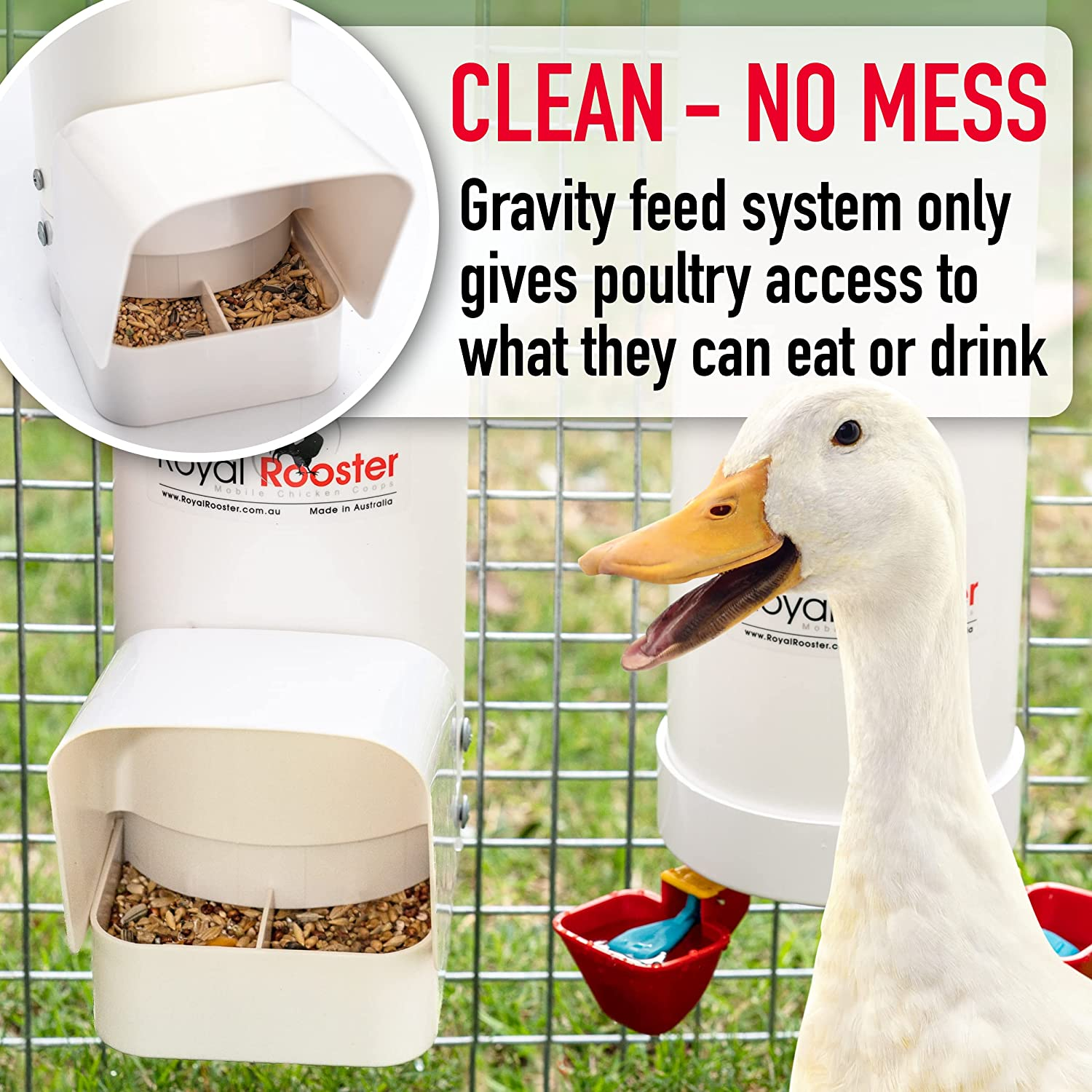Royal Rooster Duck Feeder and Twin Waterer Set - Includes 4 Litre Waterer with 2 Cups & 3Kg Feeder for Ducks - Farm Backyard Coop Accessories with Hanging Duck Poultry Feeder and Duck Waterer Kit image number 2
