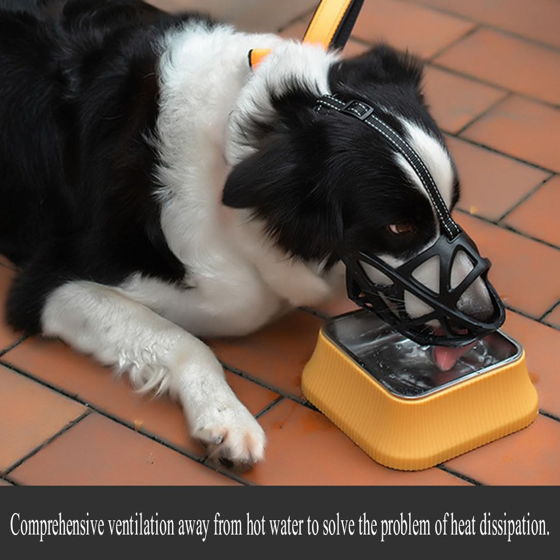 Dog Muzzle, Soft and Comfortable, Breathable Basket Muzzles,Chewing and Scavenging,Perfect for Grooming and Training Medium, Black (L) image number 3