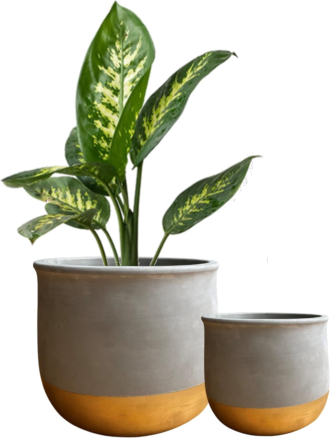 Olly & Rose Gold Dip Ceramic Plant Pot Set 2 Indoor Planters 17Cm + 12Cm Outdoor Flower Pots Cement Plant Pots