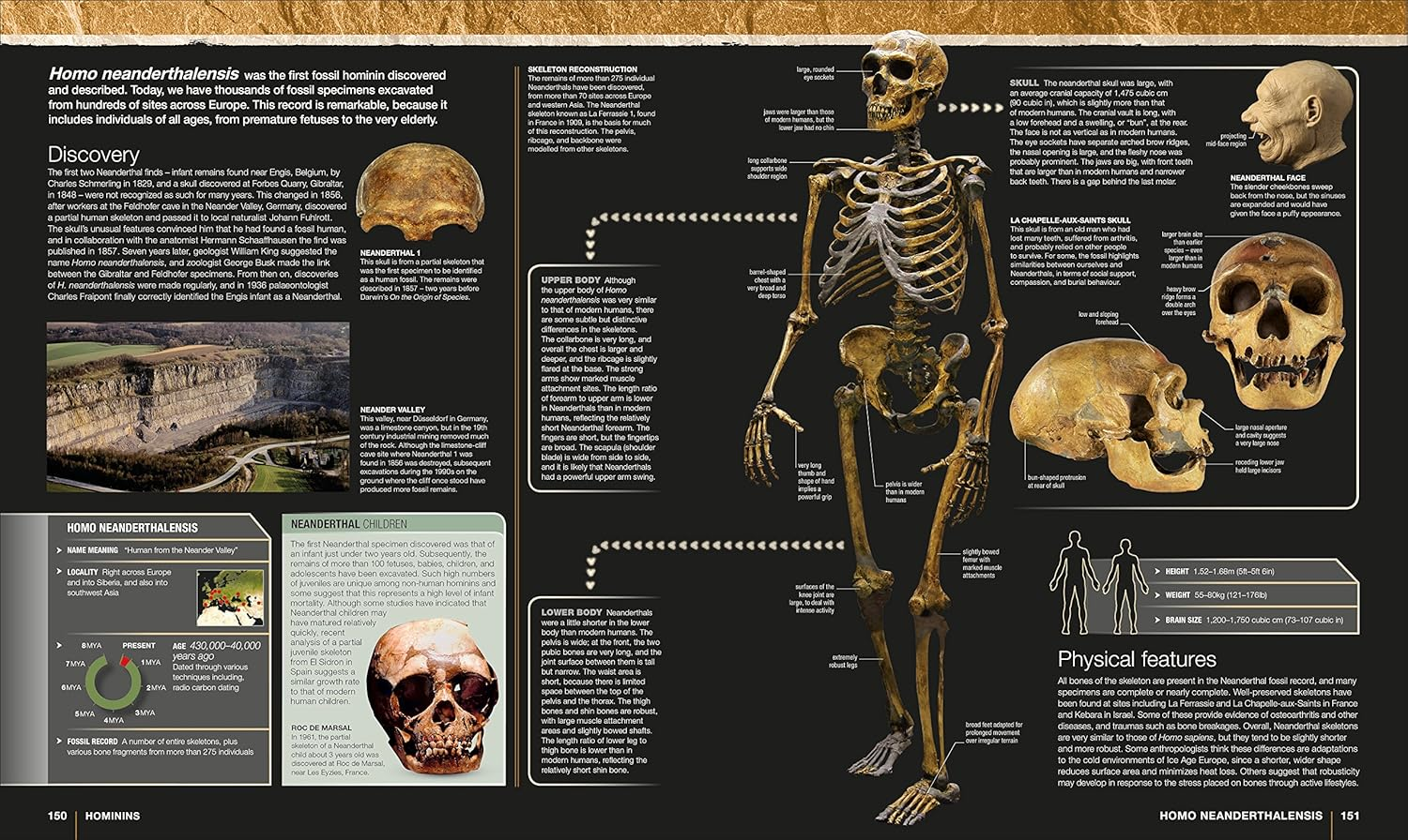 Evolution: the Human Story image number 3