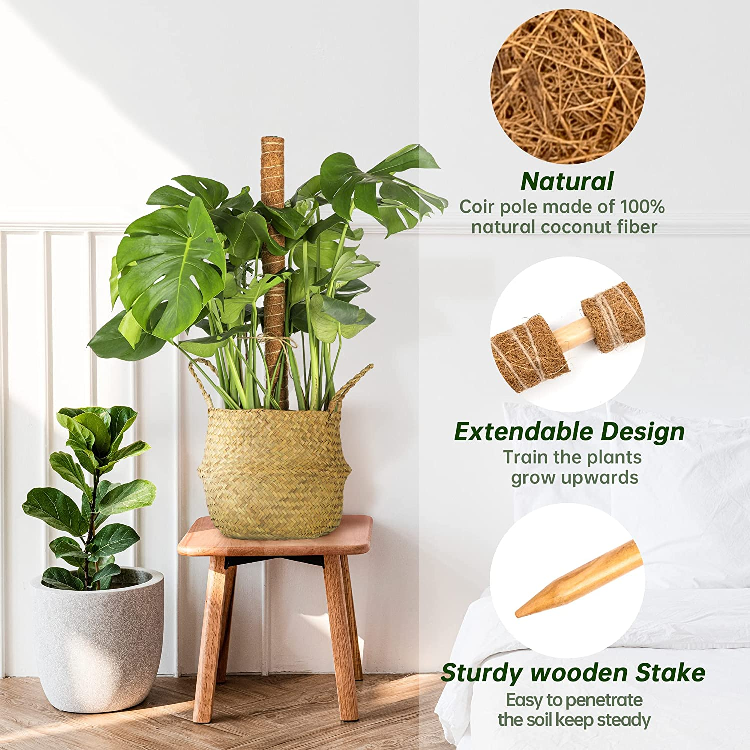 4 Pack Moss Pole for Plants Monstera, 15.7 Inch Plant Stakes Support Plant Coconut Silk Climbing Pole Coco Sticks with Garden Ties for Indoors Outdoor Plants Climbing Plants Growth (4 PCS) image number 3
