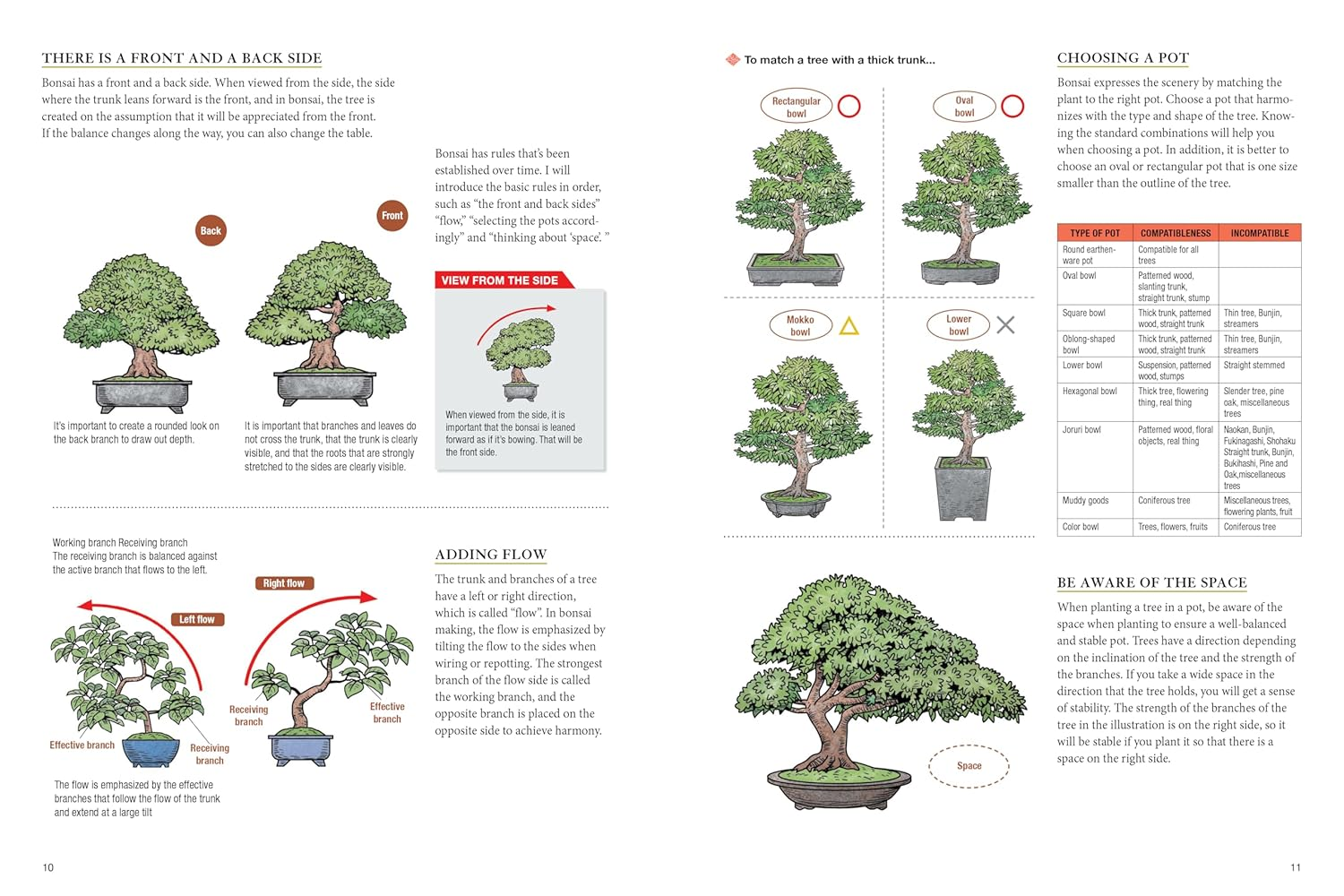 Bonsai Master Class: Lessons and Tips from a Japanese Master for All the Most Popular Types of Bonsai (With over 600 Photos & Diagrams) image number 2