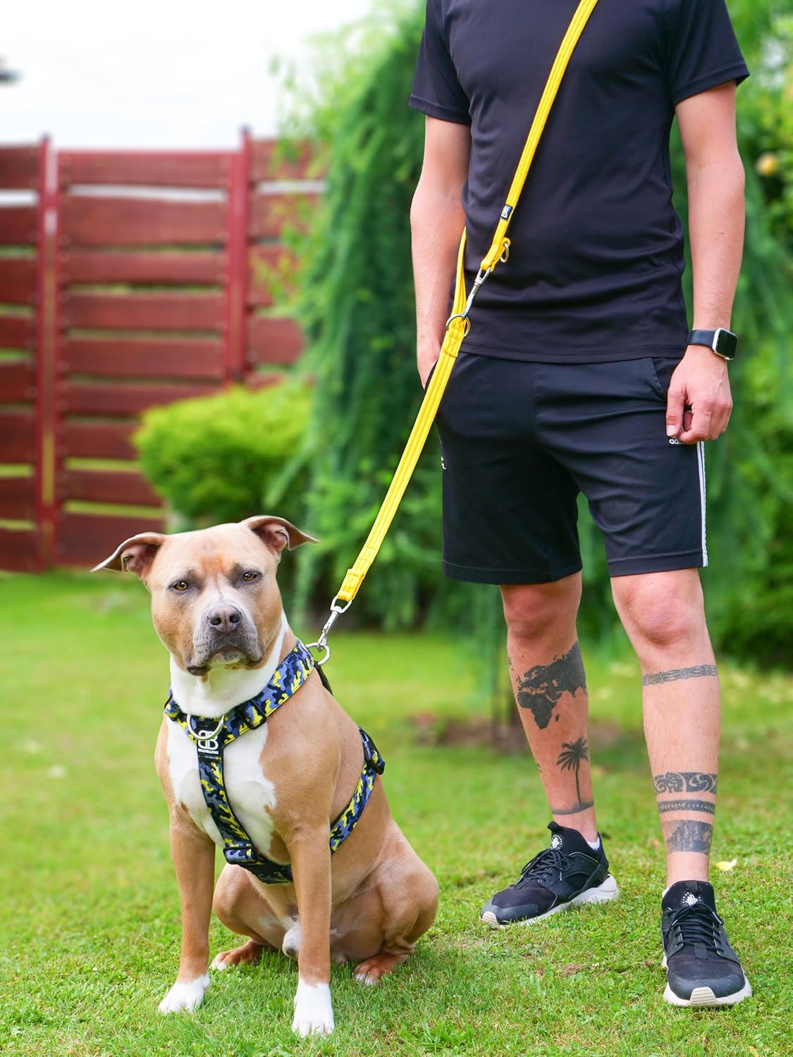 Bullybillows Double Ended Training Dog Lead | Multi-Functional Training Dog Lead | Medium or Long Length for Obedience Training or Distance Work | Tan