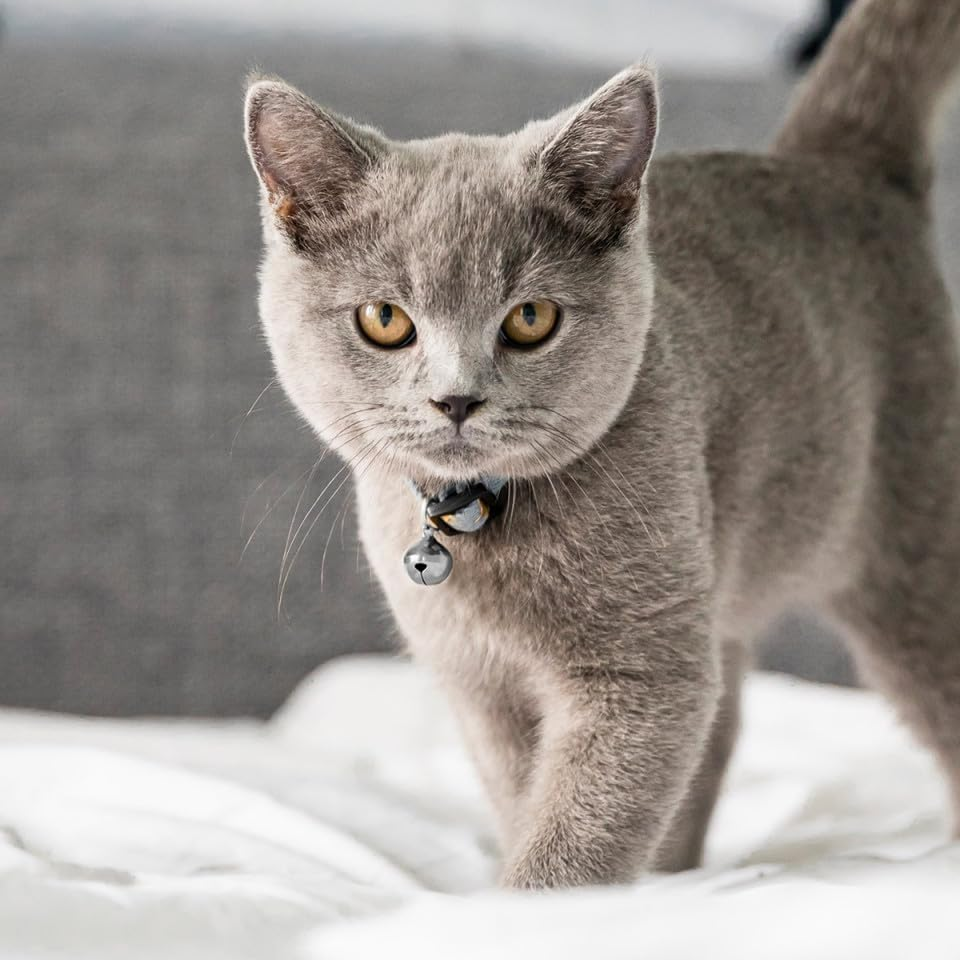 POPETPOP Nativity Accessories Pet Collar Pendant-5Pcs Cat Collar Bells Copper Bell Training Charm Pendants for Pet Cat Dog Necklace Collar 18Mm(Silver) image number 4