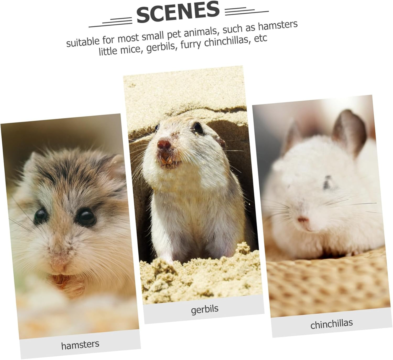 Silent Hamster Running Wheel Stand Violet Plastic Exercise Wheel for Hedgehogs Guinea Pigs Chinchillas Small Pets Cage Toy image number 6