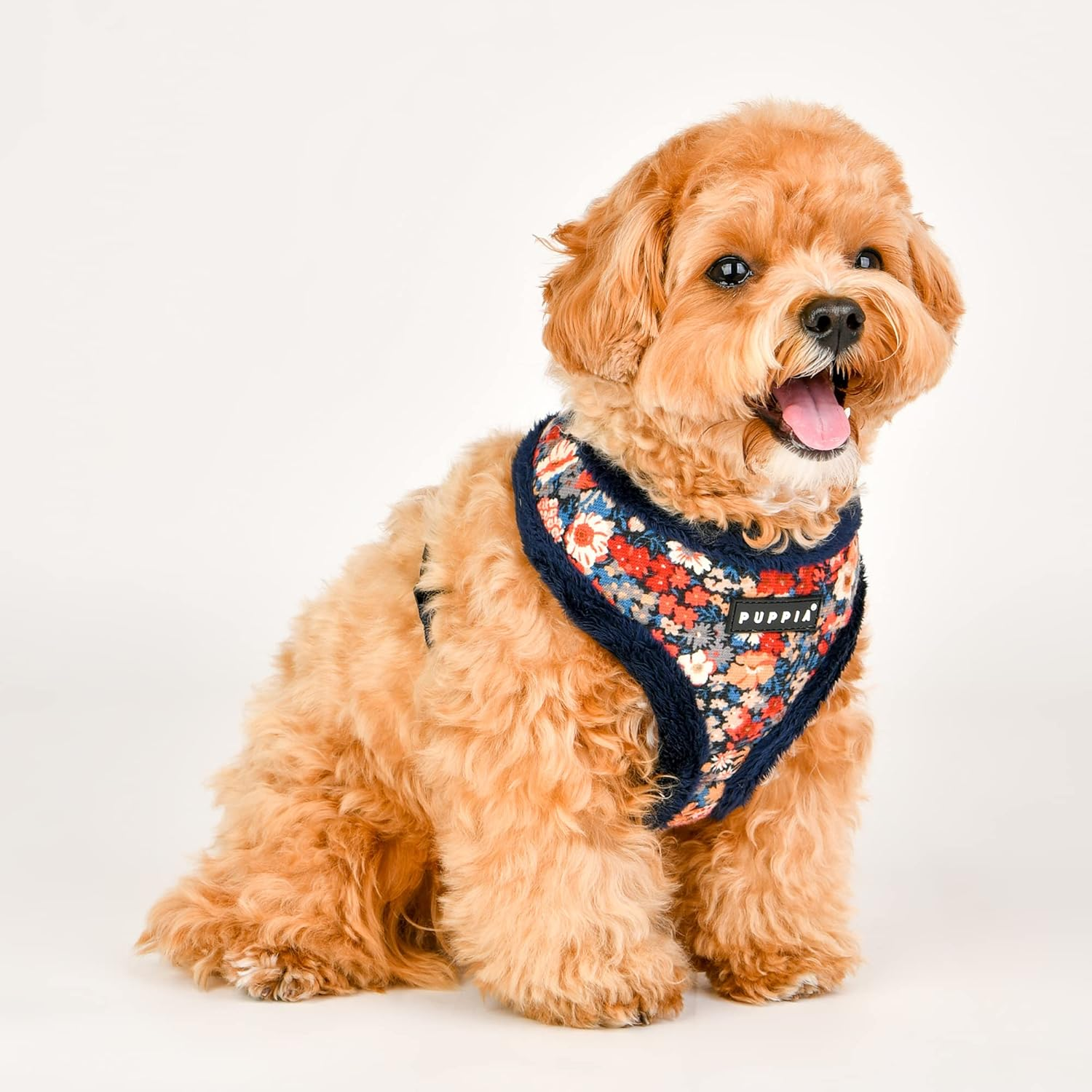 Puppia Gianni Harness a - Navy - S, (PAUD-HA1857-NY-S) image number 2
