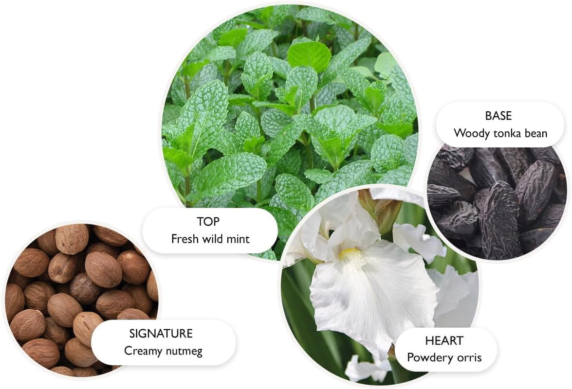 Molton Brown Wild Mint & Lavandin Eau De Toilette 100Ml image number 1