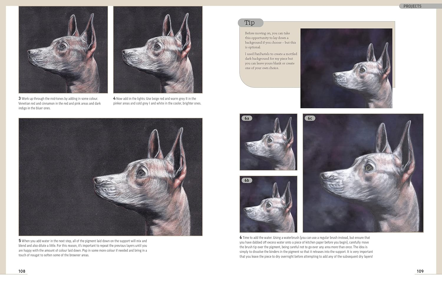 Drawing Animal Portraits in Coloured Pencil image number 1