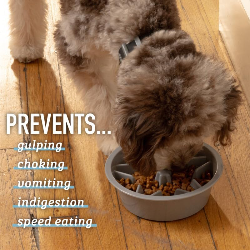 Leashboss Slow Feed Dog Bowl for Raised Pet Feeders - Maze Food Bowl Compatible with Elevated Diners (1.5 Cup - 6-6.25 Inch Feeder Holes, Blue) image number 3