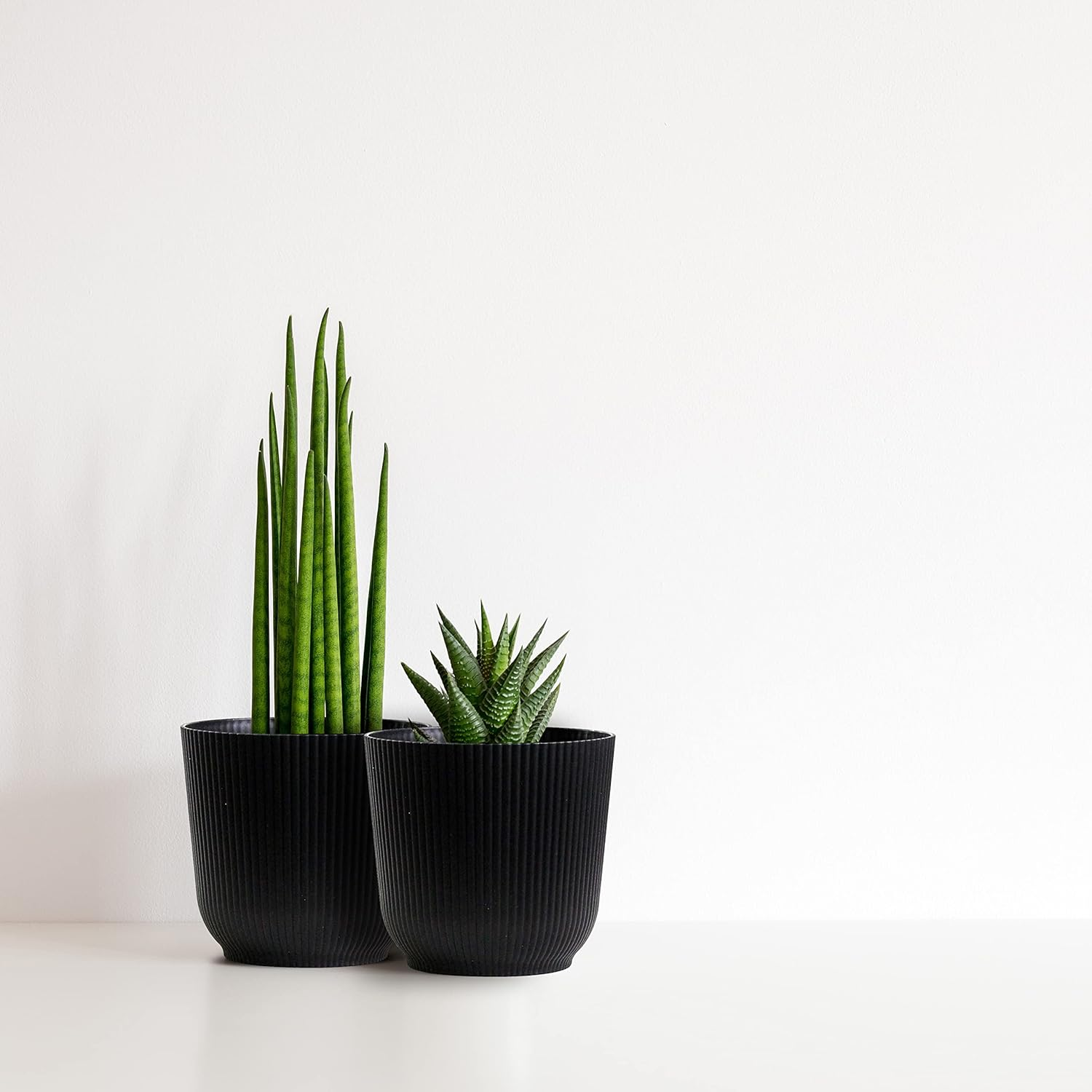 Olly & Rose Oxford Flower Pot Black Planters - Pack of 2 - Indoor Outdoor Flower Pot for Garden and Home image number 2