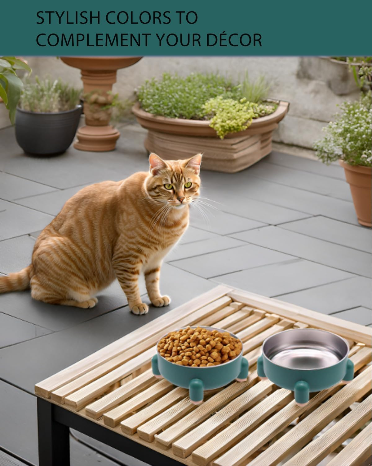 2-Pack Stainless Steel Cat Bowls - Non-Slip Tilted Metal Pet Food Bowls for Cats & Small Dogs, Prevents Feline Acne, Dishwasher Safe, Nordic Design, 3 Cups (24 Oz Each), Green image number 5