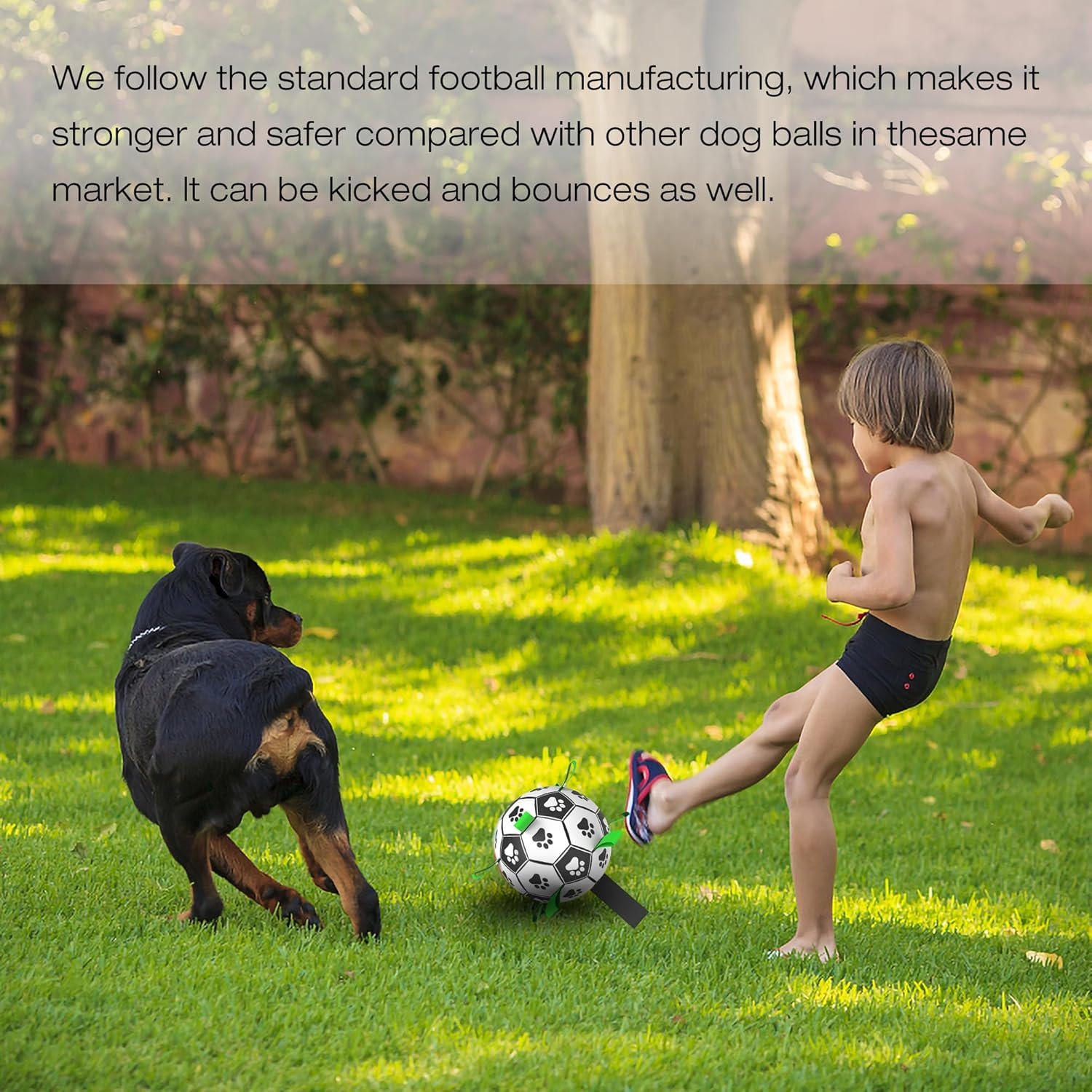 Dog Balls Toys Interactive Soccer Toy: Dog Toys with Grab Straps Tabs for Jolly with Silicone Base, Fun Dog Water Toy for Tug for Small & Medium Dogs 7'' Ball image number 6