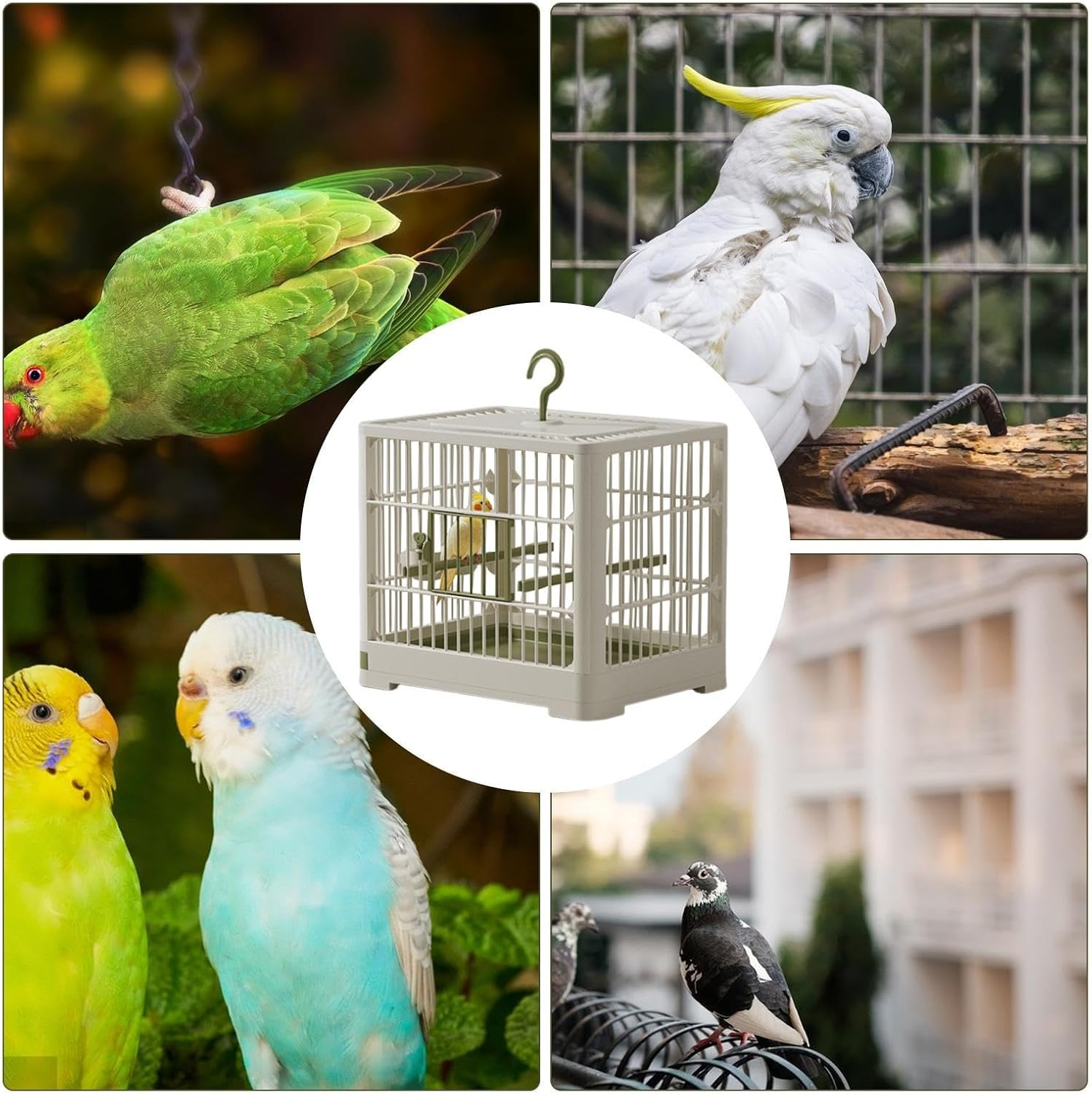 Bird Carrier - Portable Bird Carrier Cage | Weekend Budgie Canary Finch Clear Parrot Travel Cage Ornamental Cage with Dish Hook Handle image number 4
