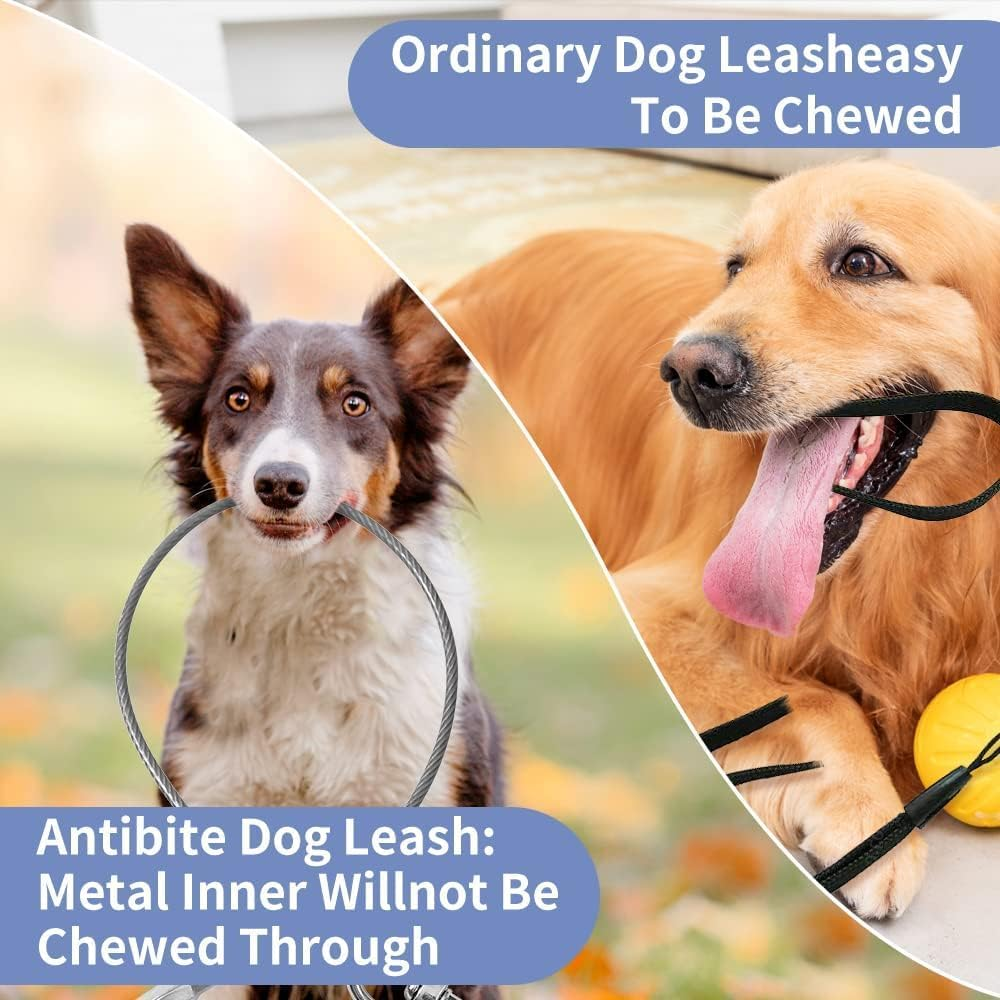 Chew Proof Dog Leash Extension, Support Add to Any Leash (Black+Transparent, 24 Inch/60Cm) image number 2