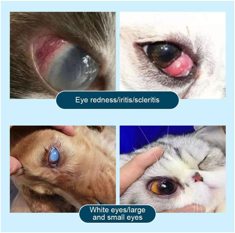 Cat and Dog Eye Gel &ndash; Pet Friendly Formula for Conjunctivitis, Corneal Ulcers, Redness, Inflammation & Dry Eyes &ndash; Soothes Irritation and Effectively Protects against Eye Damage, 5G image number 2