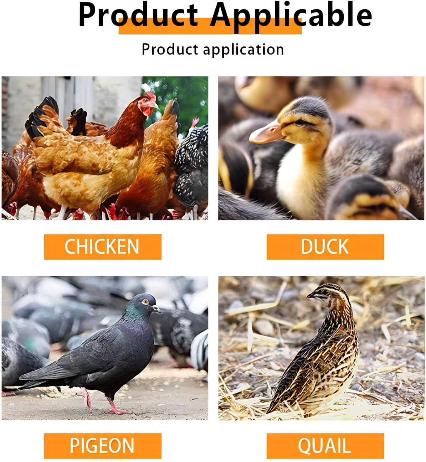 Automatic Chicken Waterer, Neatly Arranged Poultry Waterer, Large Capacity Chicken Waterer Cups with 10Pcs Bowls for Duck Goose image number 2