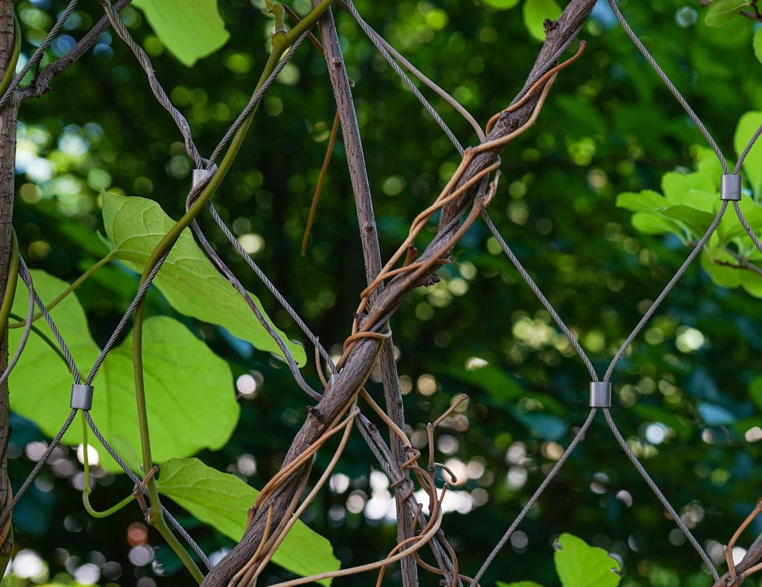 328Ft Wire Rope Crimping Tool Kit, Stainless Steel Wire Rope Cable with Aluminum Crimping Sleeves and Stainless Steel Thimbles for Railing, Decking, Picture Hanging (328Ft) image number 2