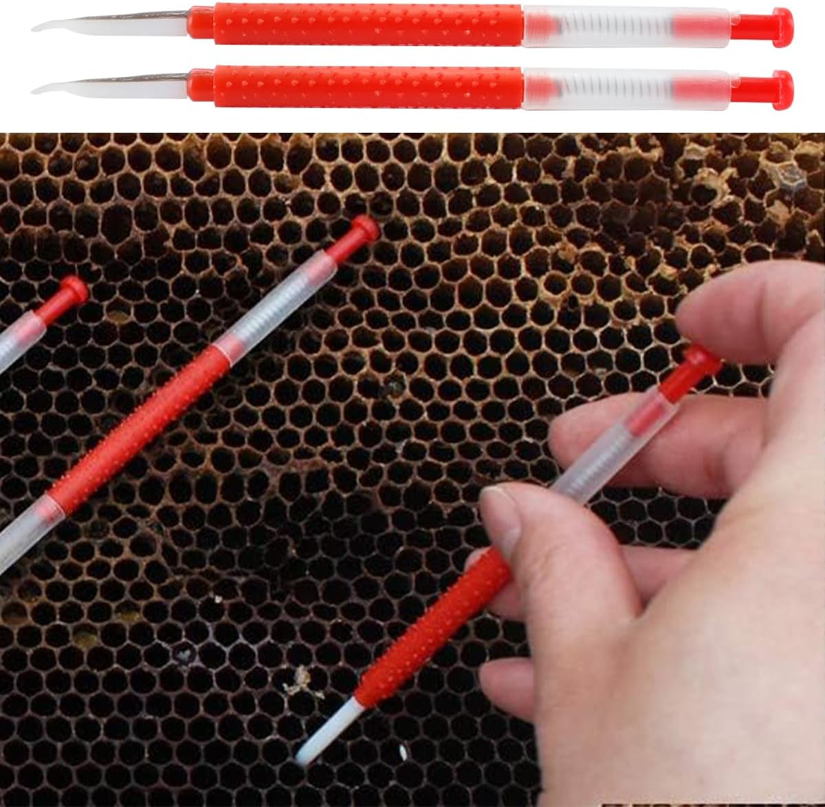 10 PCS Queen Bee Grafting Tool,Beekeeping Grafting Tool, for Queen Rearing and Beekeeping Tools image number 2