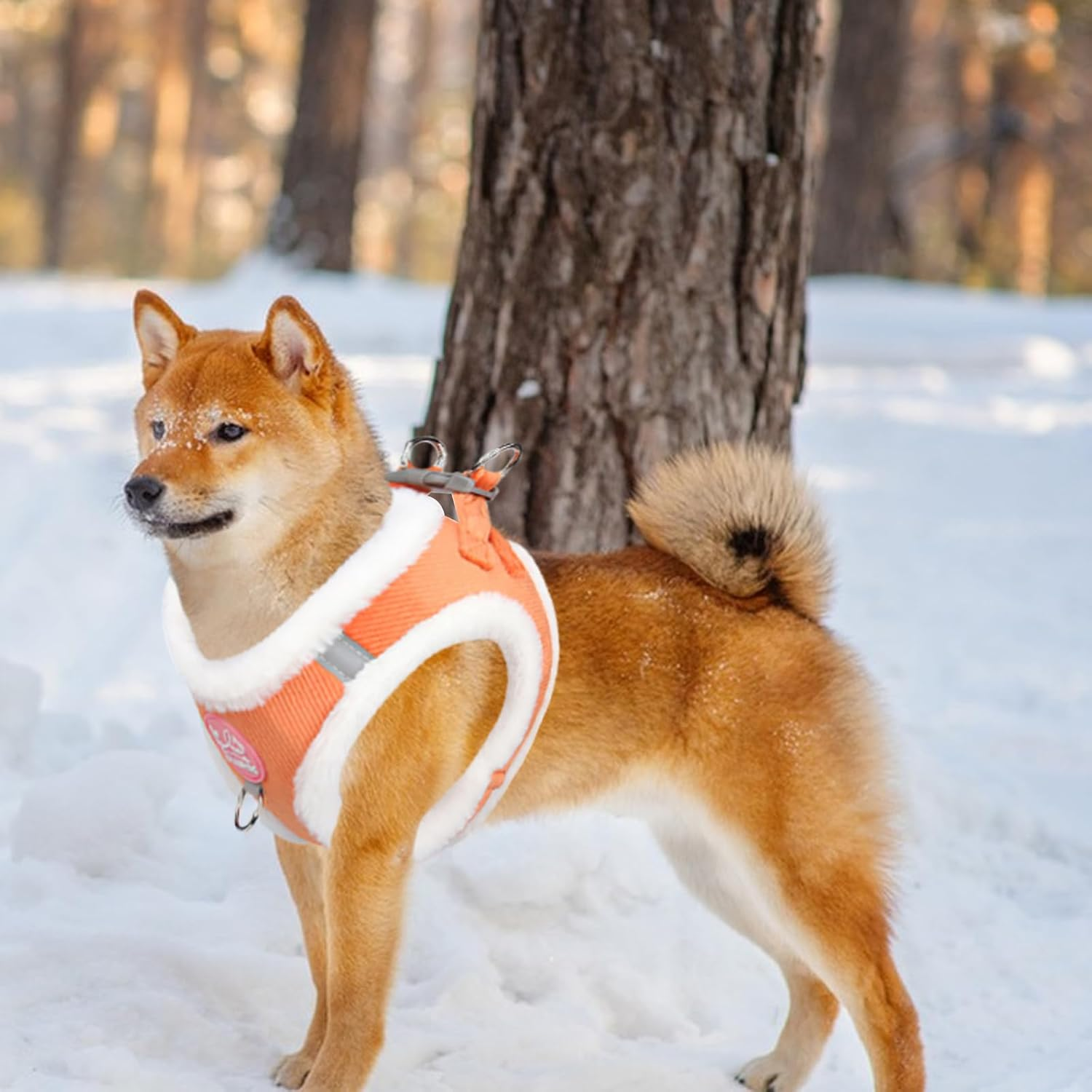 Cat Harness and Lead Set, Winter Fleece Kitten Harness, Adjustable Cat Vest Harness, Reflective Cat Hiking Vest with Lead, Kitten Harness for Walking, Running (Orange) image number 4
