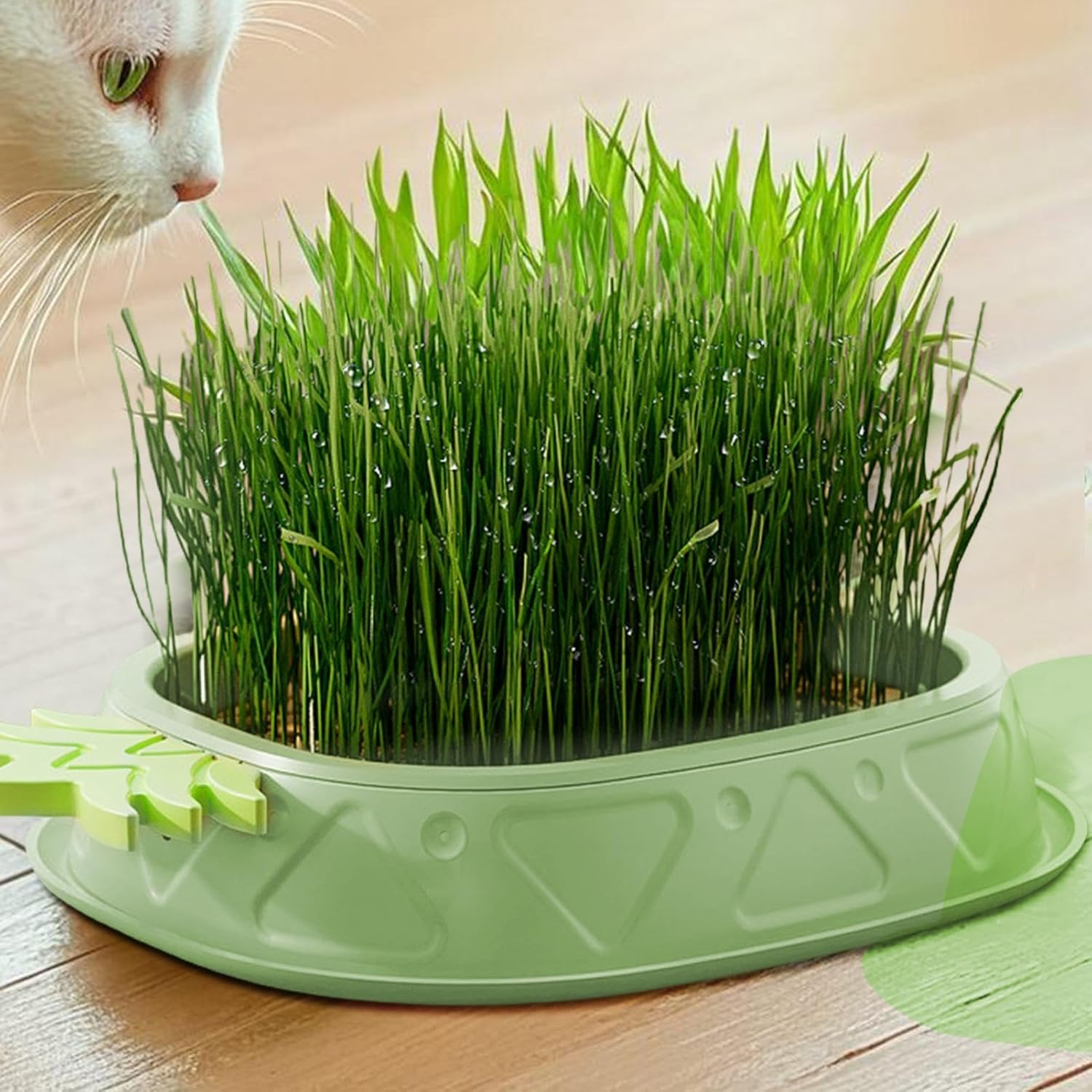 Shurzzesj Hydroponic Cat Grass Growing Box,Soilless Culture Growing Kit - Pineapple Design Wheat Grass Pot, Soil- Planting Box, Indoor Organic Catgrass, Germination Tray, Easy Water image number 6
