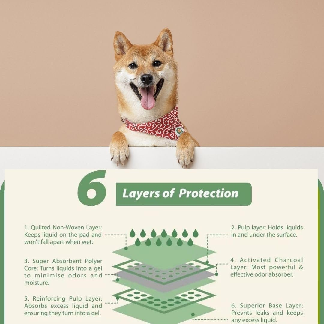 Charcoal Puppy Training Pads, Extra Large Puppy Pee Training Pads, Super Absorbent Leak-Proof Disposable Training Pads, Fandcy Pet Training Pads for Indoor or Outdoor Use (25 XL Pads: 71Cm X 86Cm) image number 3