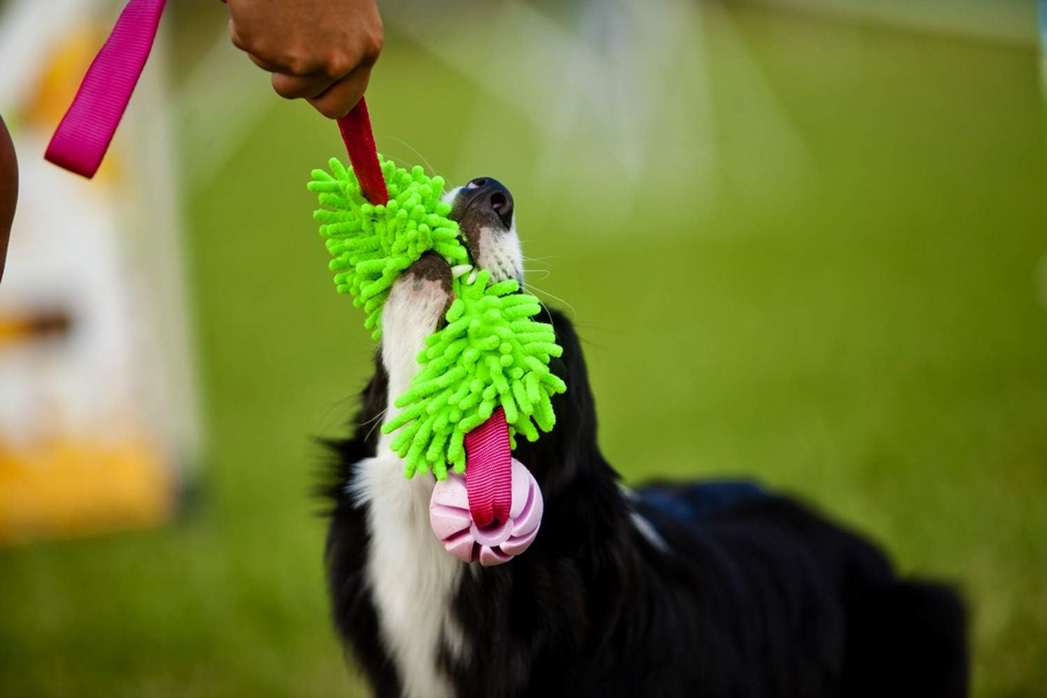 Dingo Green Mop Bite Tug for Dog Fun Bungee Chaser with Ball, Pink Handle 15589