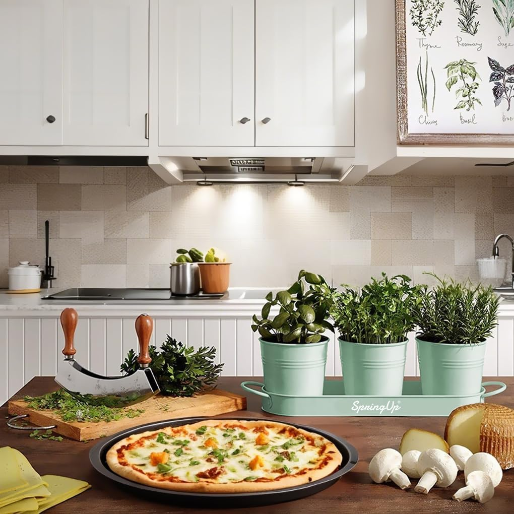 Springup 3 Pack Indoor Herb Garden Planter Set with Tray, Metal Farmhouse Windowsill Plant Pots with Drainage for Outdoor or Indoor Plants (Soft Mint) image number 1