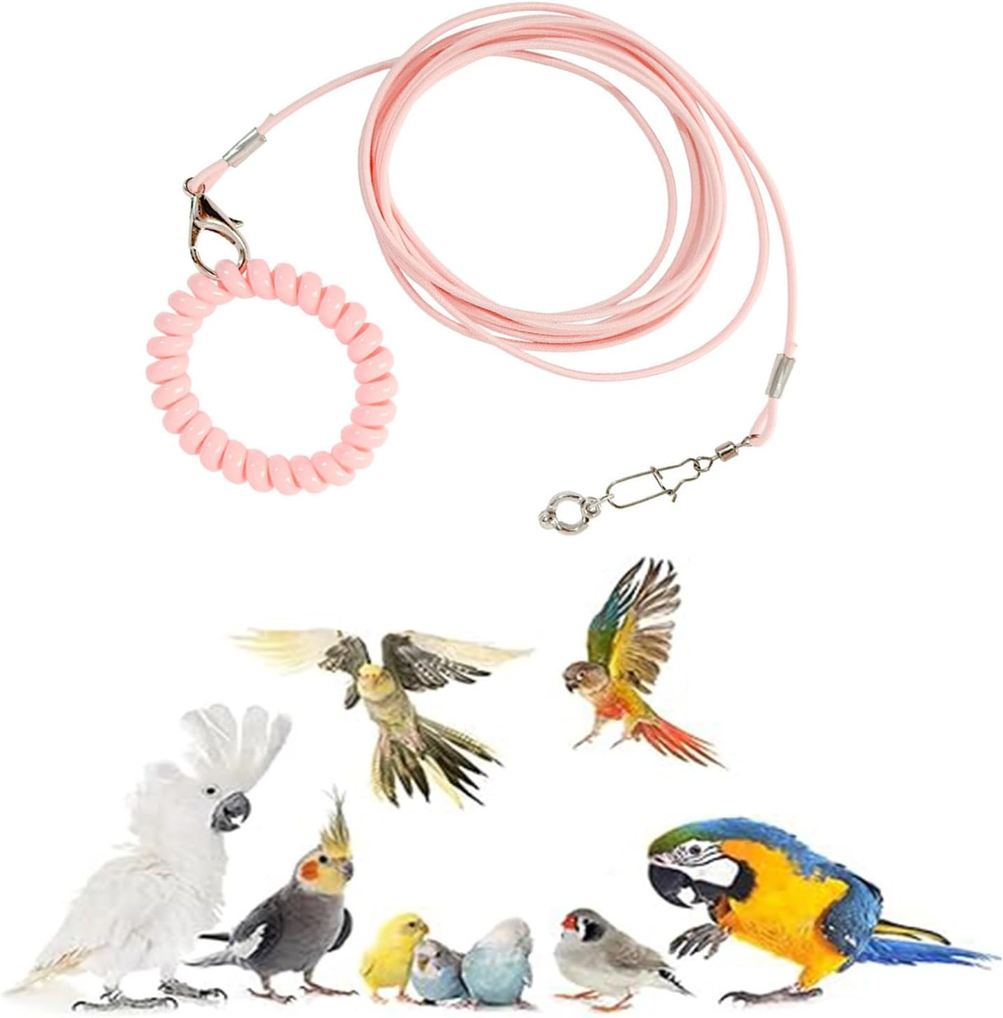 Adjustable Bird Foot Chain Harness Biting Resistant Training Toy with Ankle Ring for Pet Birds Outdoor Flying Training Rope for Terrace (Pink) image number 5